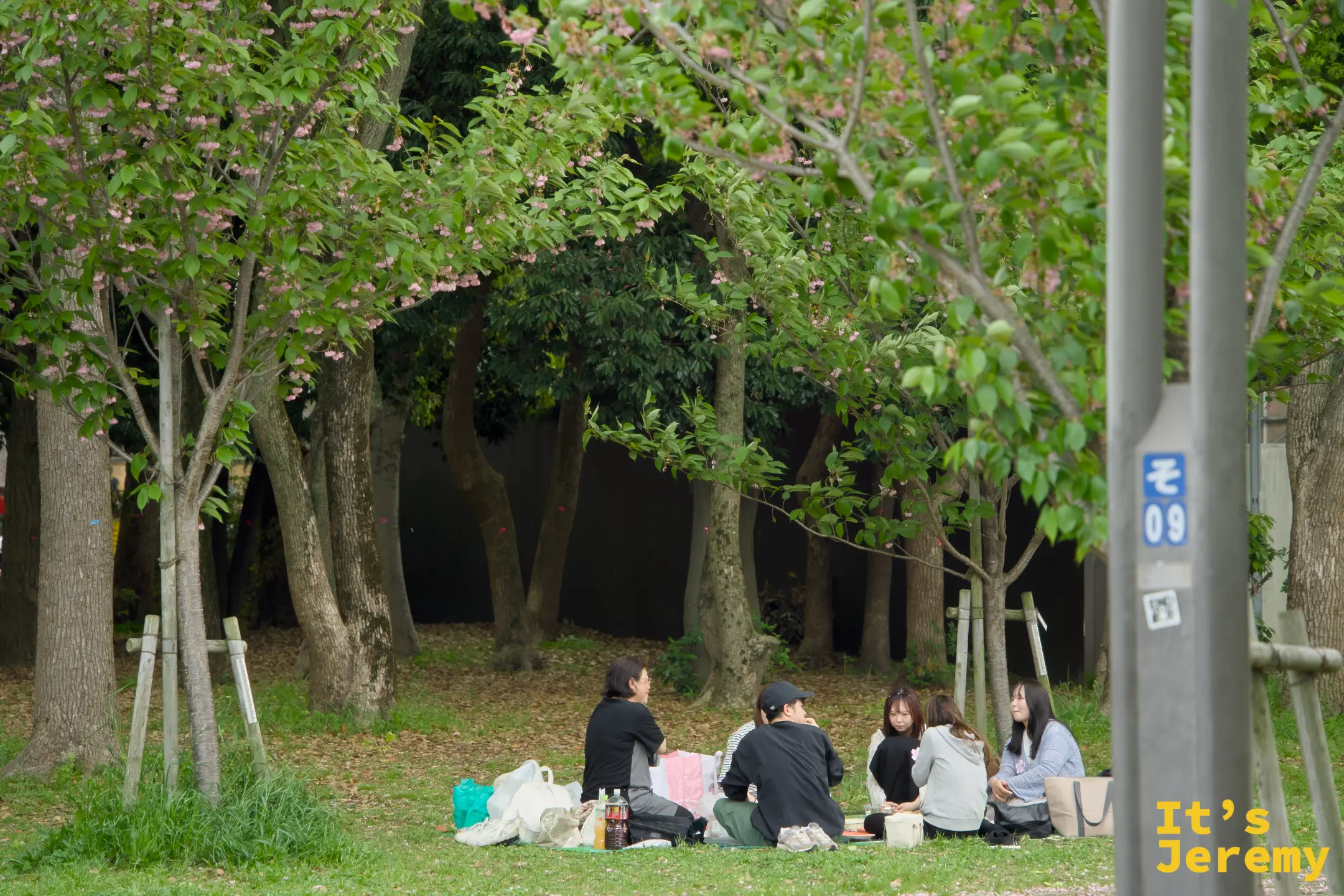 幾個朋友在公園樹叢邊席地而坐野餐