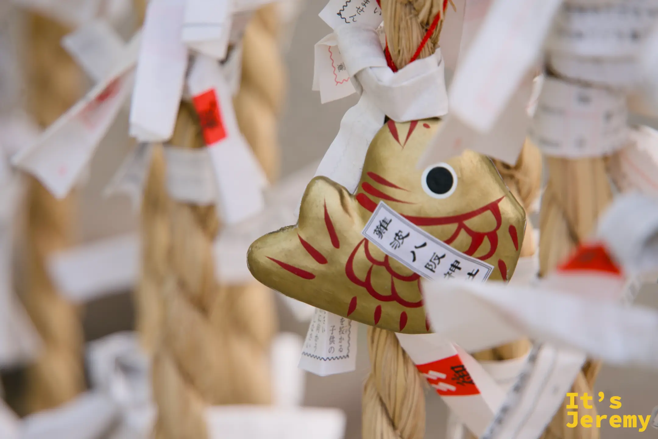 金色魚形おみくじ掛飾特寫，附有籤文白紙綁在旁邊