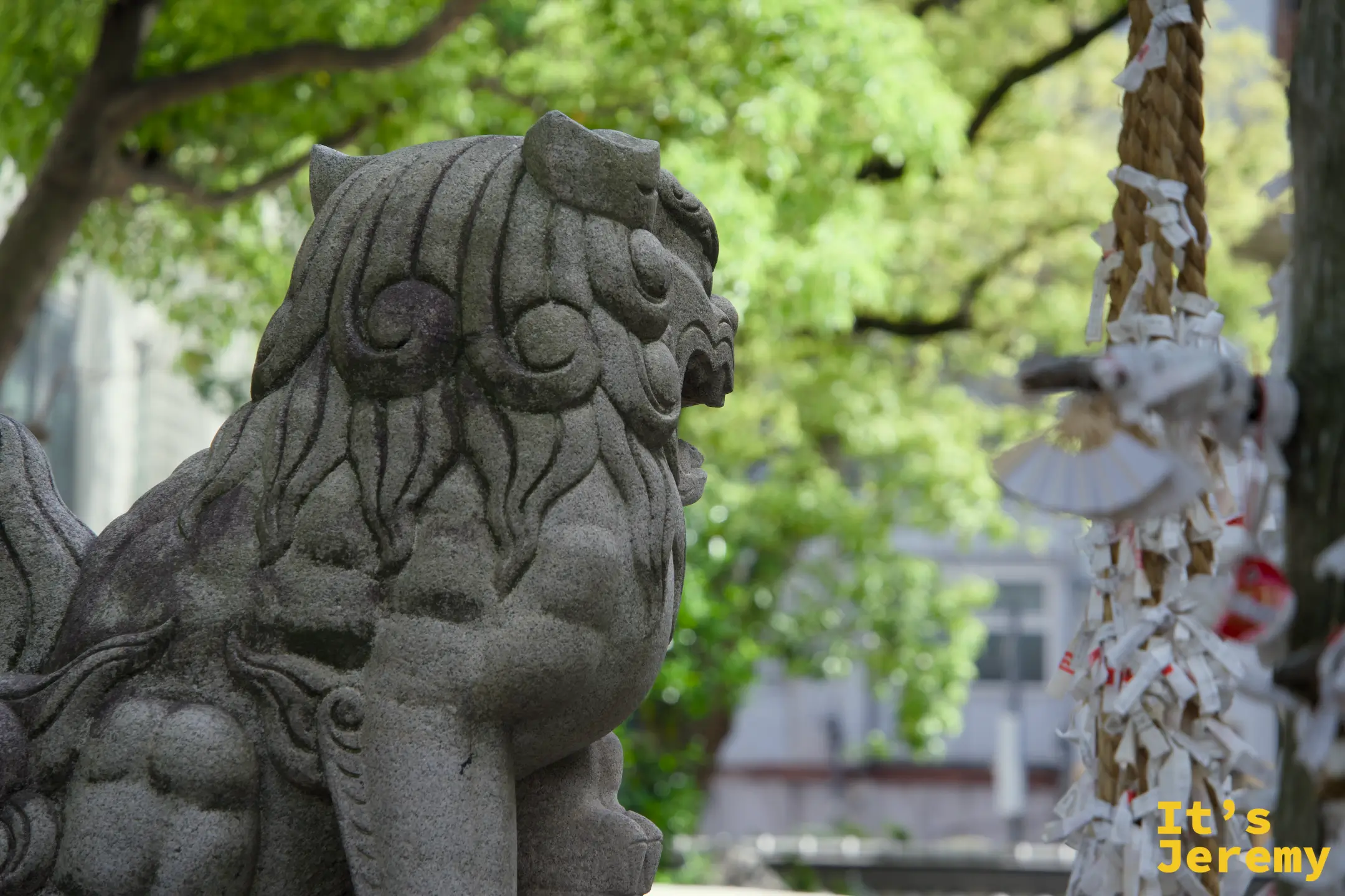 石狛犬側面特寫，背景有綁滿籤紙的繩結