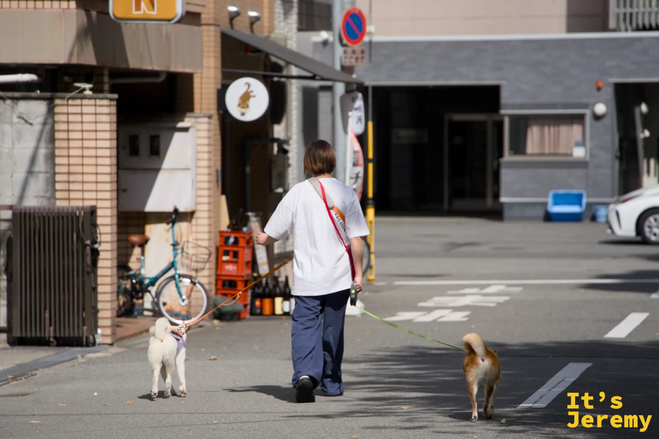 難波八阪神社附近住宅街街景，一名女士牽著兩隻狗悠閒走過，地面日光清晰