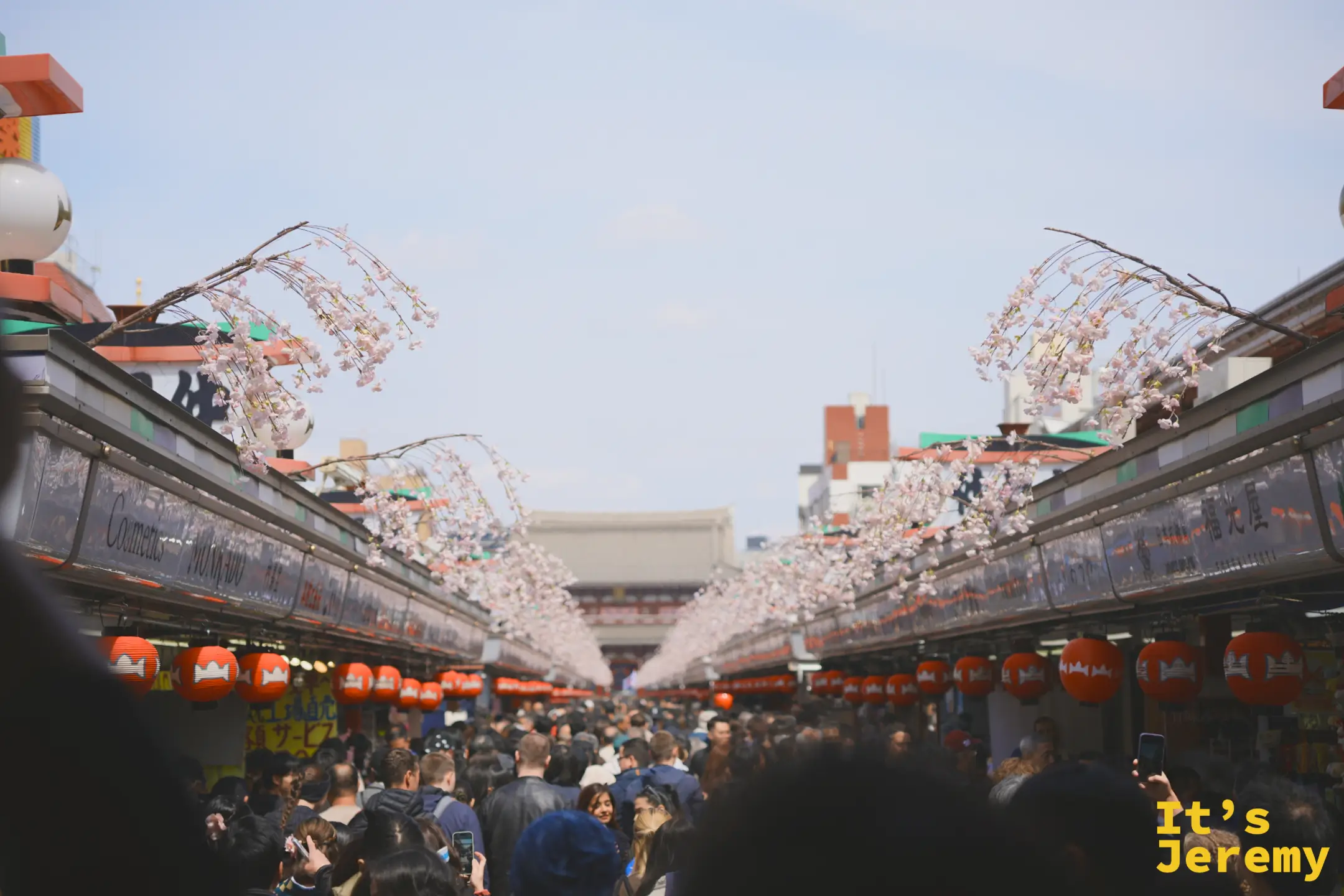 仲見世通り春日景象，兩側商店頂部懸掛白色染井吉野裝飾枝，人潮湧動，遠處寶藏門隱約可見