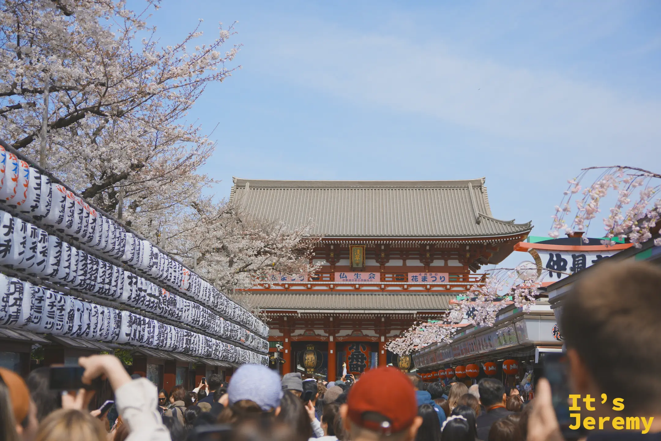 寶藏門正面，仏生会・花まつり藍色橫幅橫跨門楣，左側垂枝染井吉野盛開，人潮在門下湧動