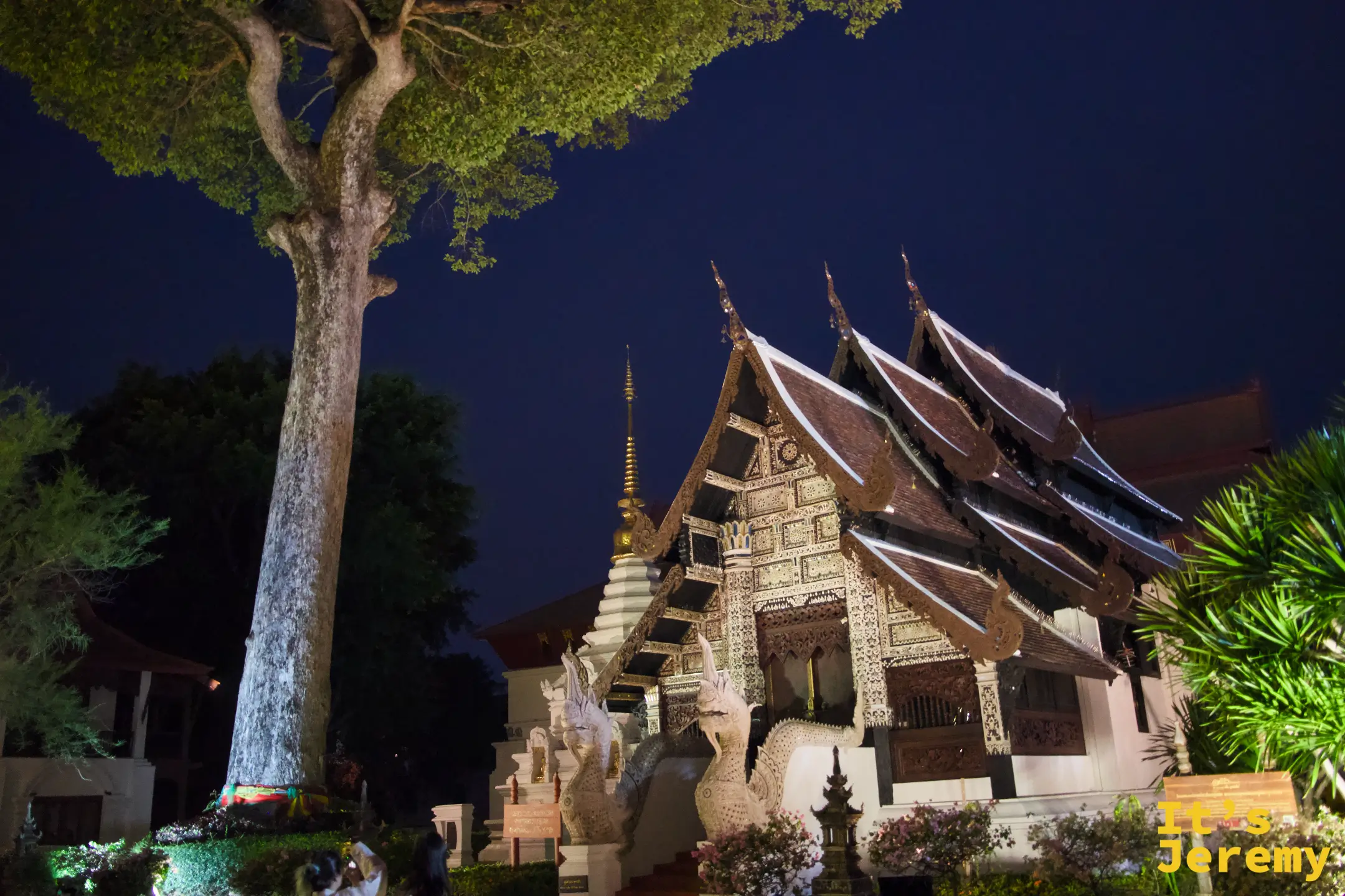 維漢萊坎外觀,入夜後大樹遮天,深褐木造屋頂層層疊疊