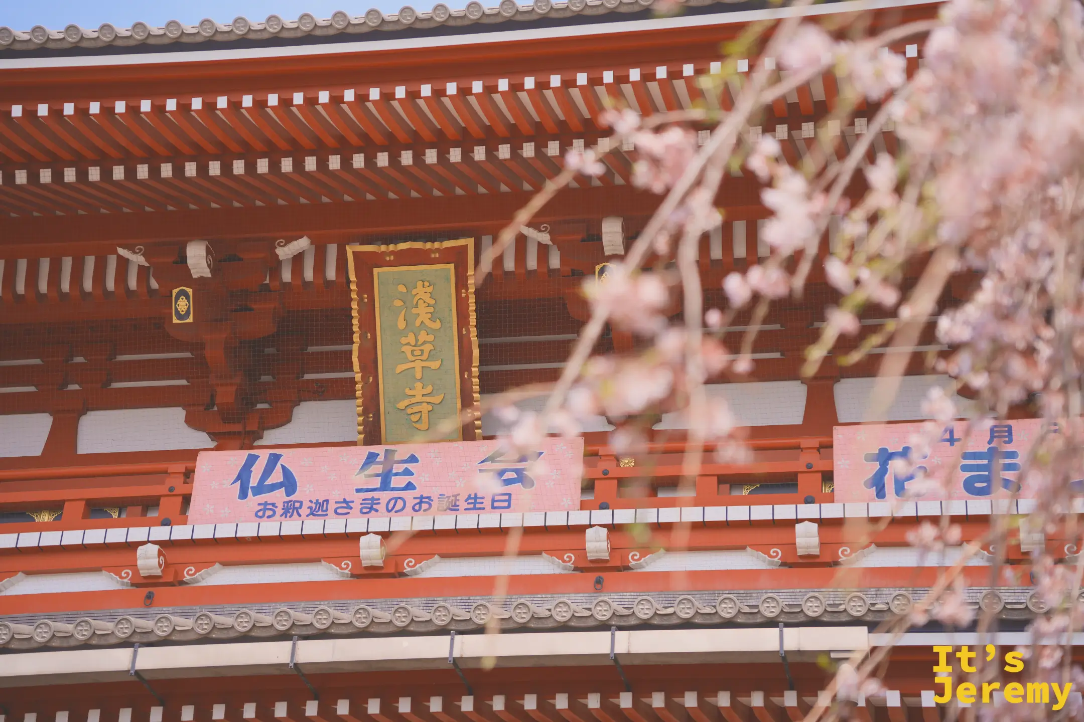 寶藏門近景，橫幅寫著「仏生会・お釈迦さまのお誕生日」，淡藍字配紅門，垂枝染井吉野從右側入鏡