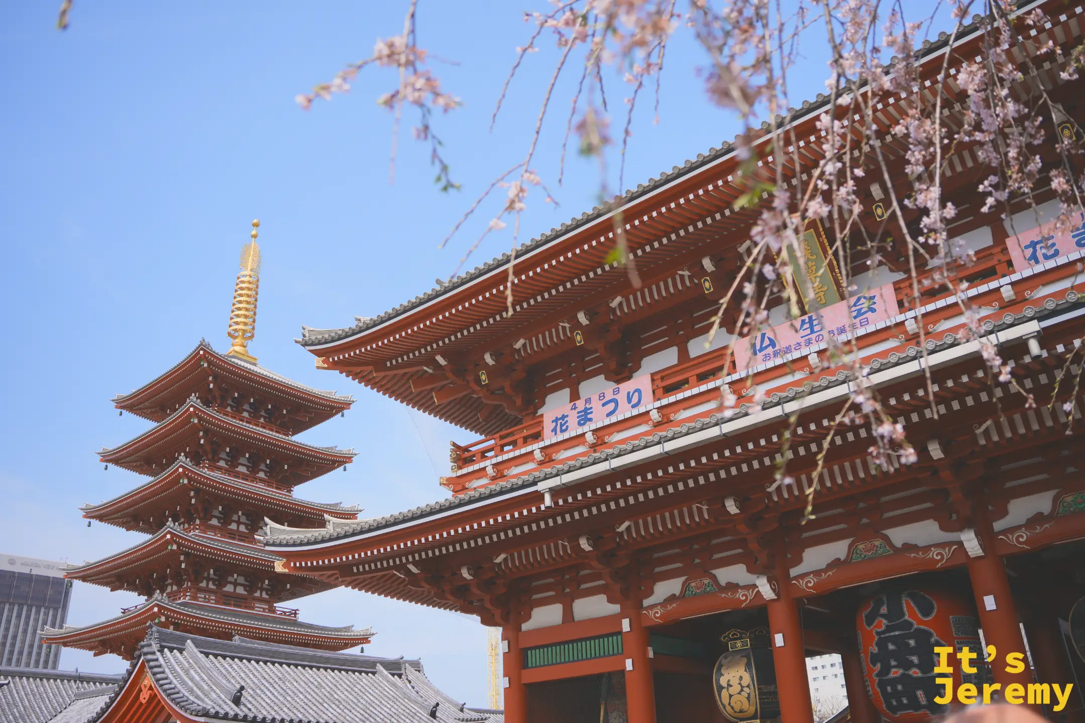 五重塔與寶藏門同框，左側五重塔金色相輪在藍天下清晰，花まつり橫幅橫跨右側寶藏門，染井吉野穿插其間