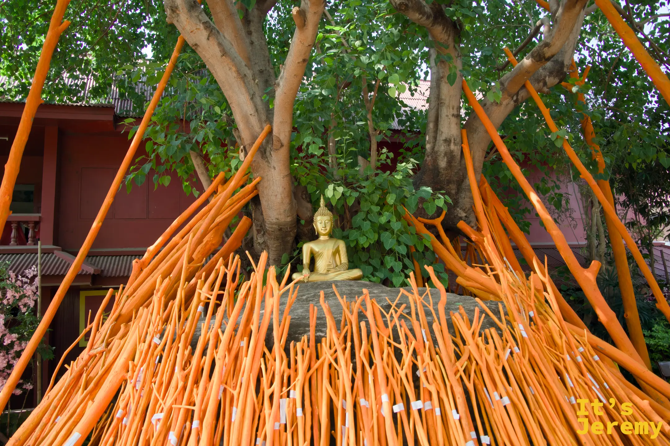 盼道寺菩提樹下，金身小佛端坐其中，四周圍滿橘色祈福木（ไม้ค้ำโพธิ์）