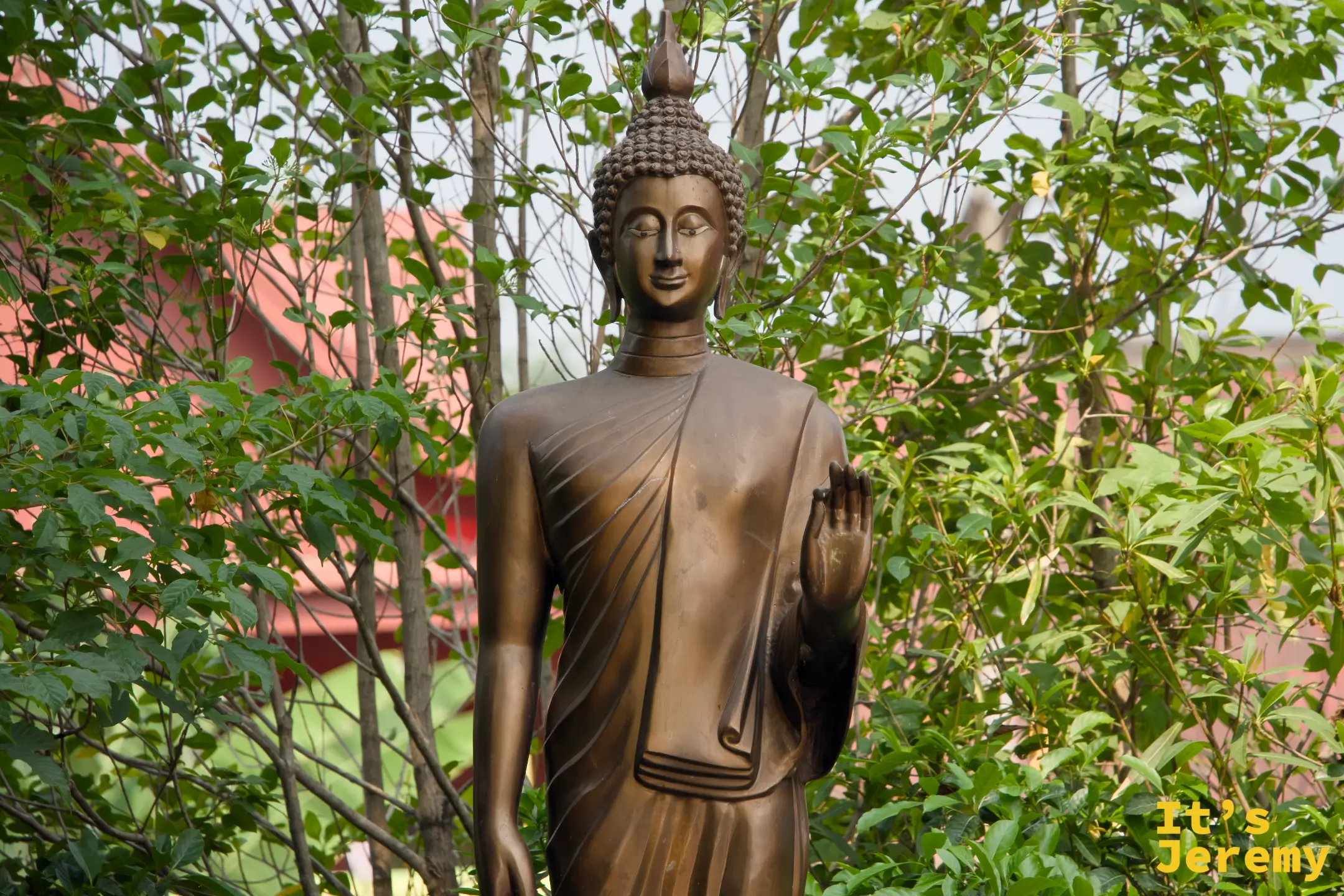 院中深褐色站立佛，右手作無畏印，身後一片翠綠