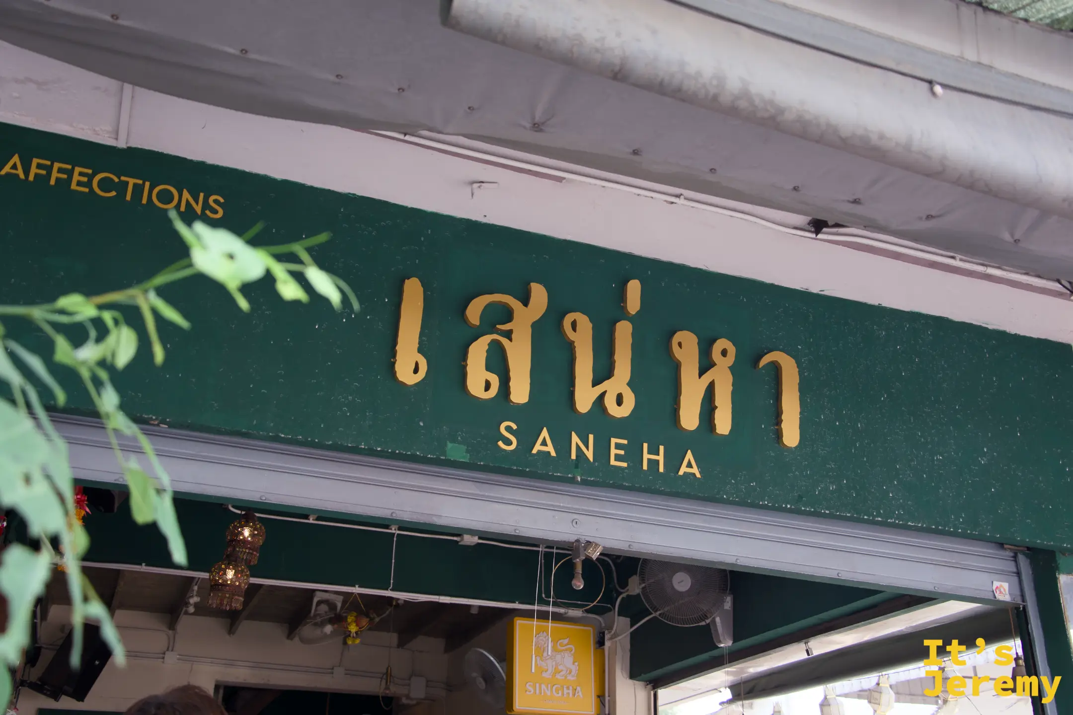 SANEHA เสน่หา 深綠底金字招牌，樹葉微微垂入畫面