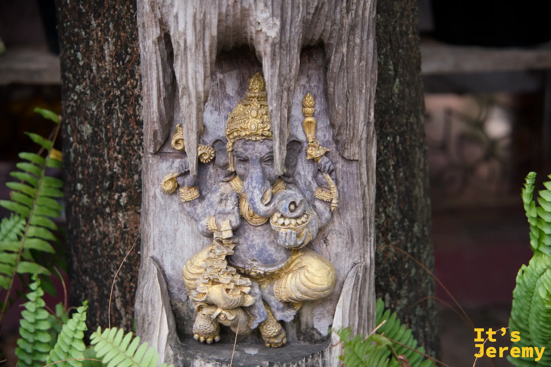 老樹樹幹上的象頭神（Ganesh）浮雕，蕨類植物從旁生長，神像與自然共存