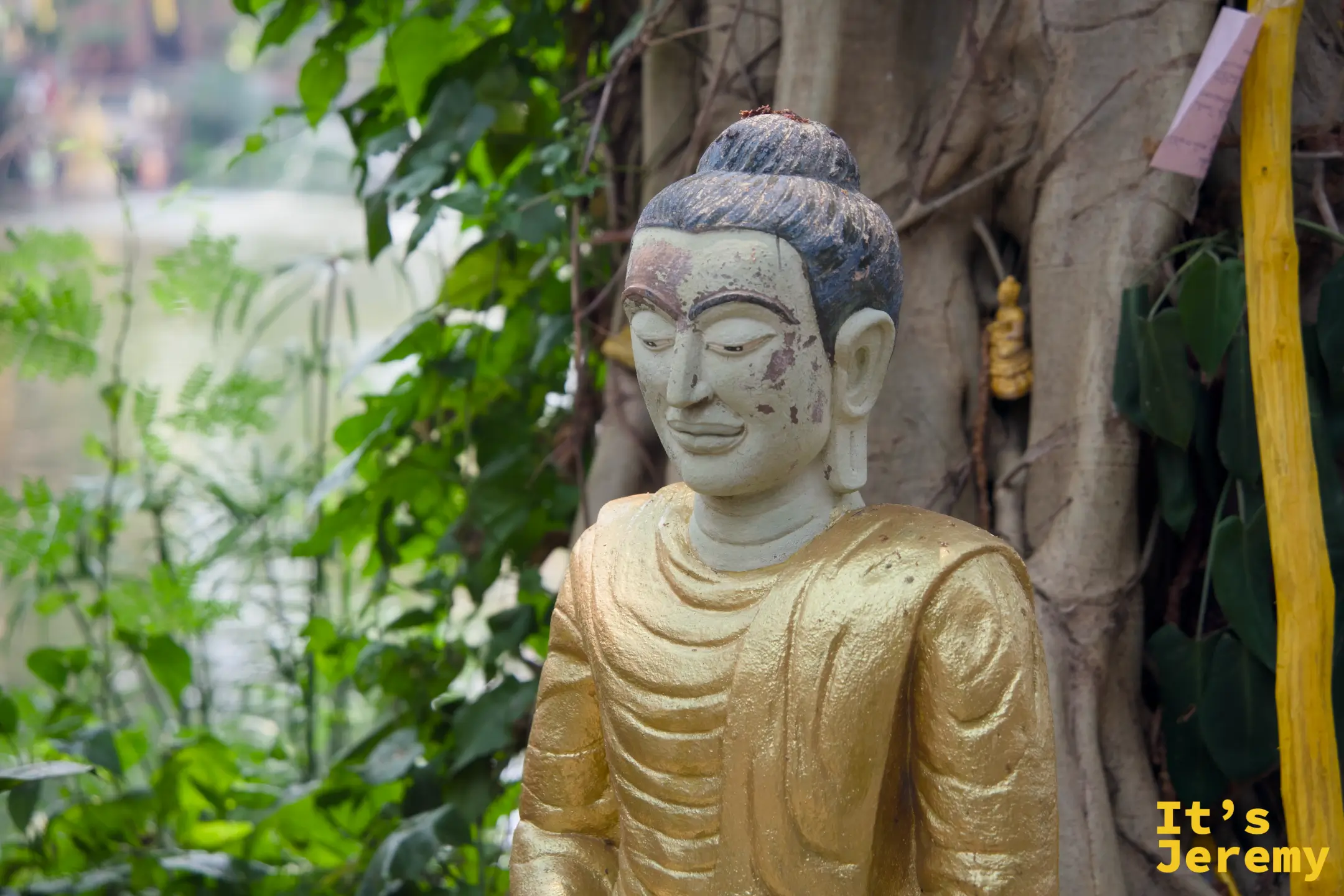 金漆半剝落的佛像倚靠老樹站立，背景是清澈的水道與茂密植栽