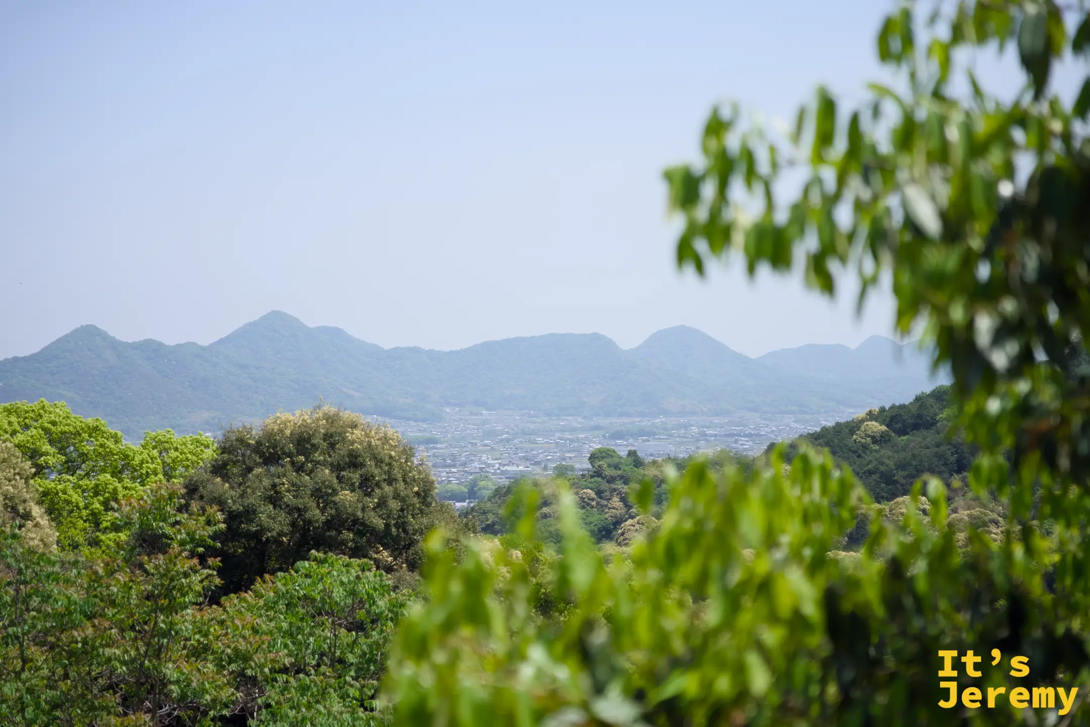從高處往下穿過樹葉望見讚岐平野和連綿的山稜線
