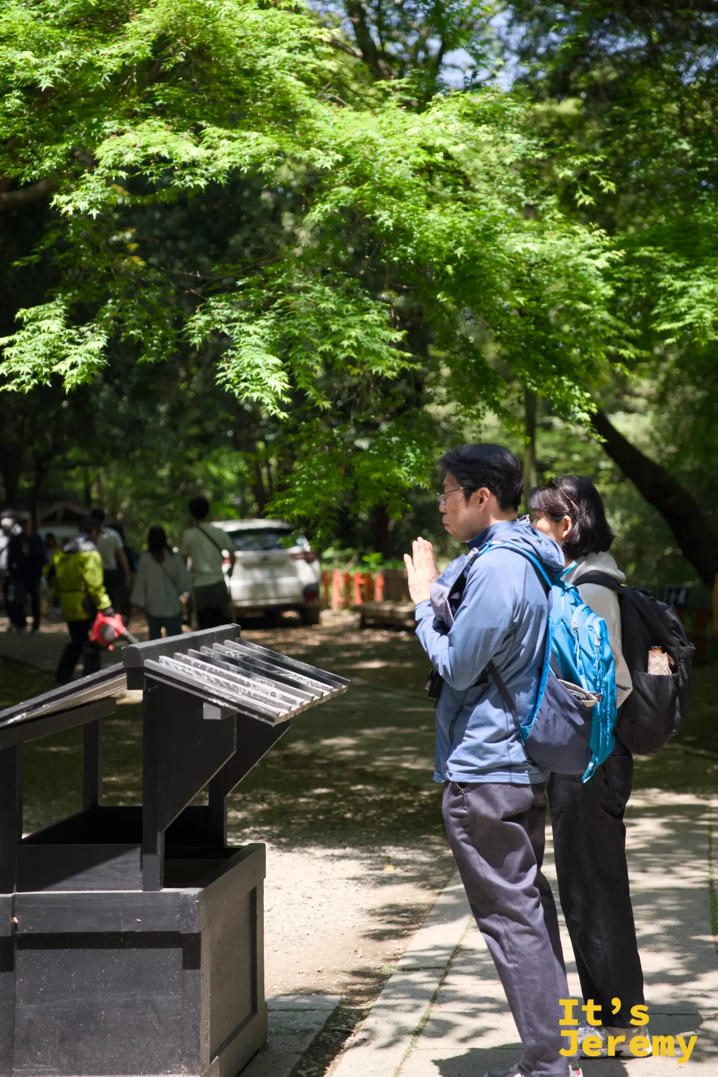 一對夫婦誠心合十在白峰神社附近的奉納台前祈願，周圍是春日新萌的嫩綠楓樹