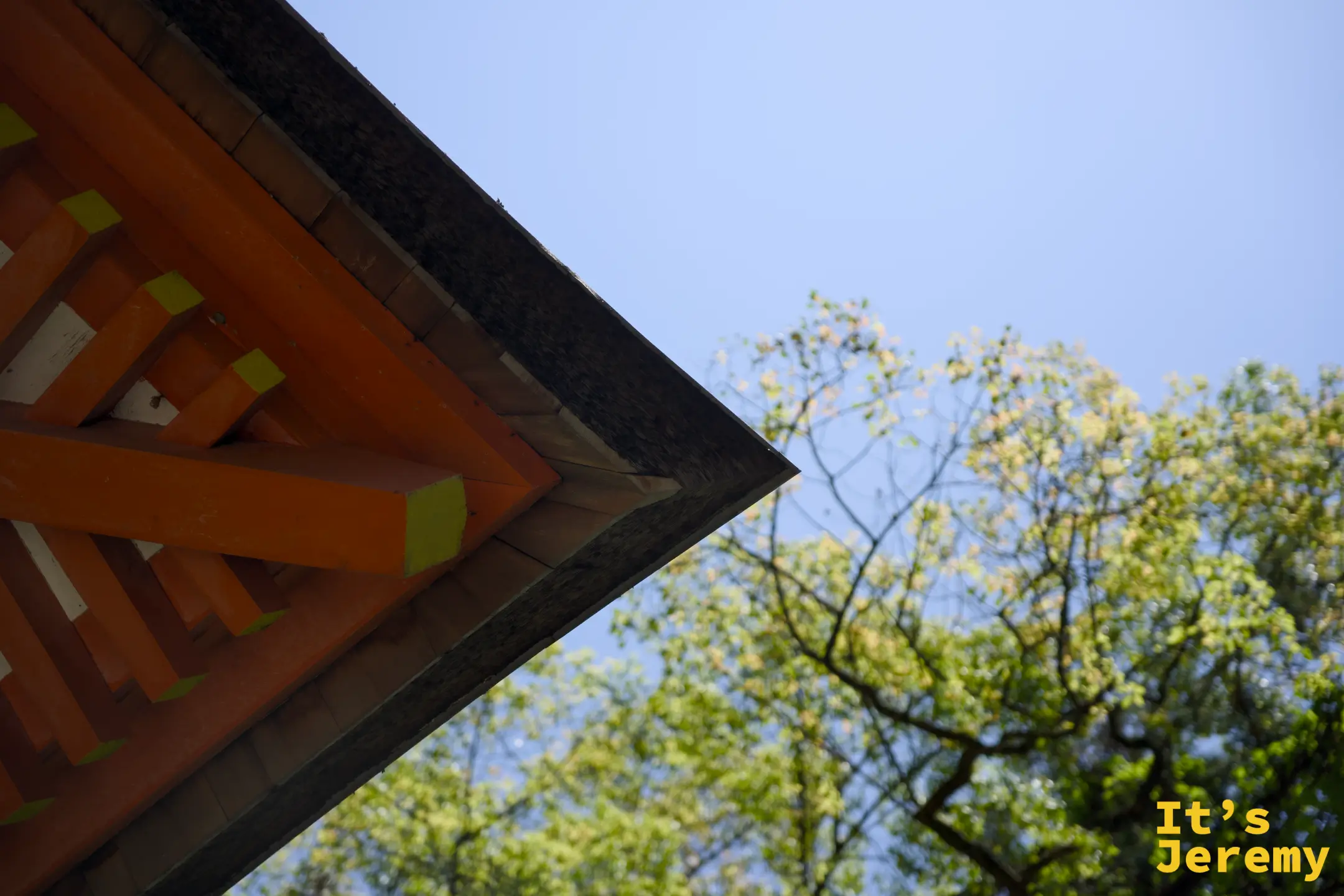 仰拍厳魂神社的朱紅色屋頂一角，和藍天嫩葉形成對比