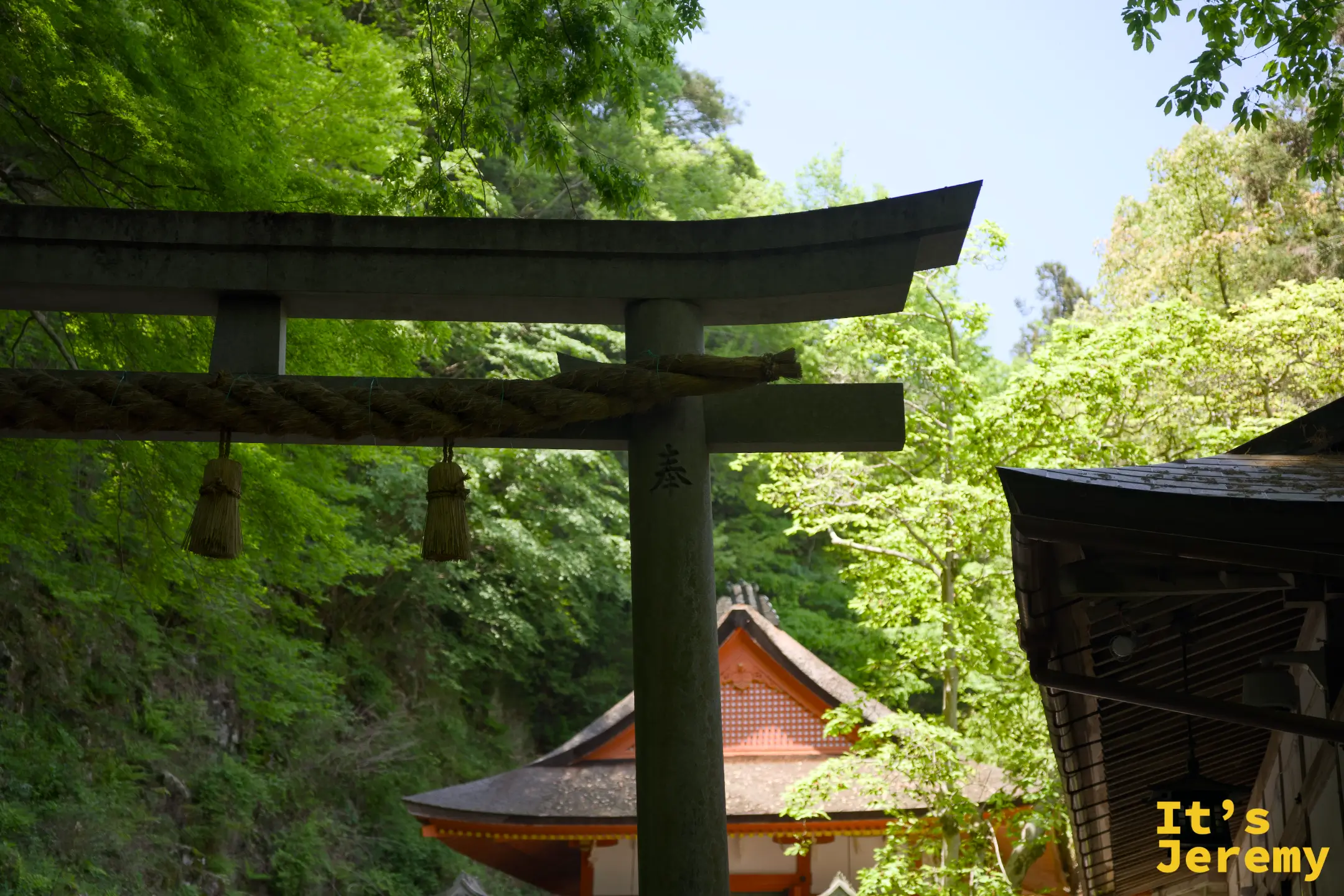石造鳥居全景，穿過鳥居可見遠方的厳魂神社朱紅色建築，綠葉環繞