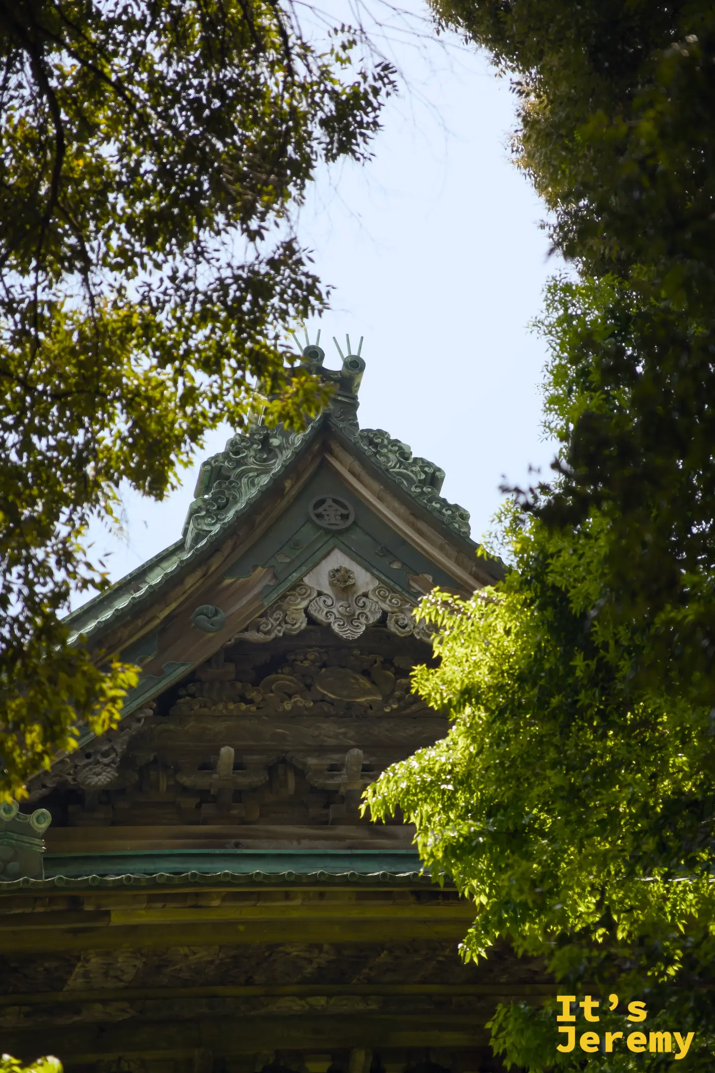 從樹叢間仰望三穂津姫神社的正脊，青銅色的鬼瓦和雲紋裝飾在藍天前清晰可見