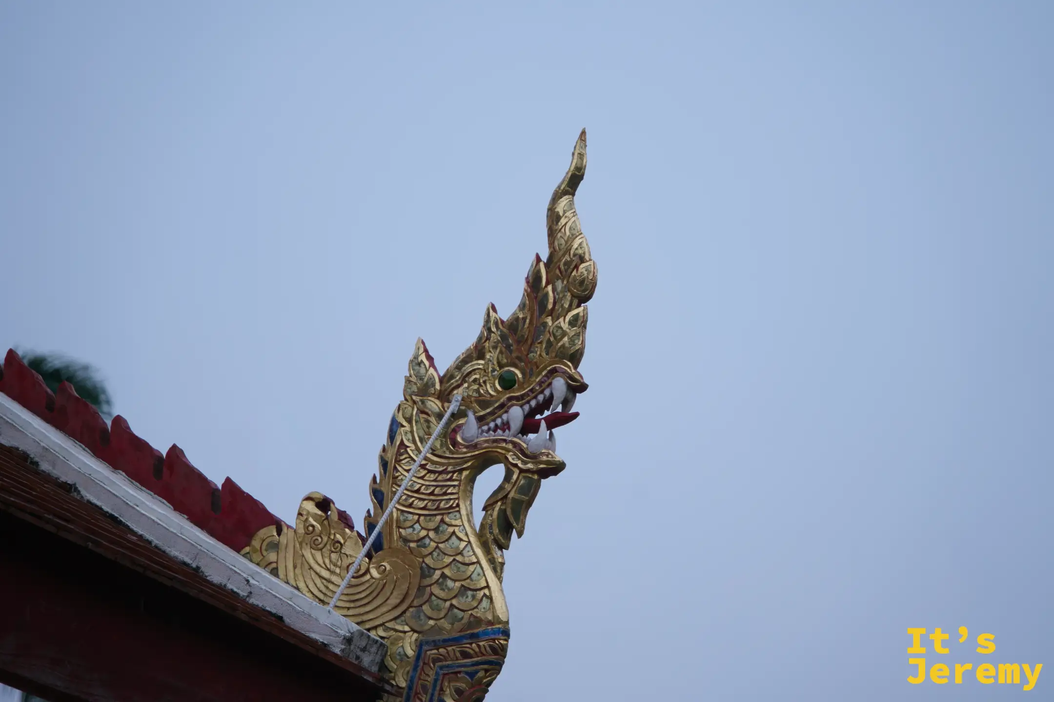 殿宇屋脊那伽龍頭特寫，金色，口微開，鱗片清晰
