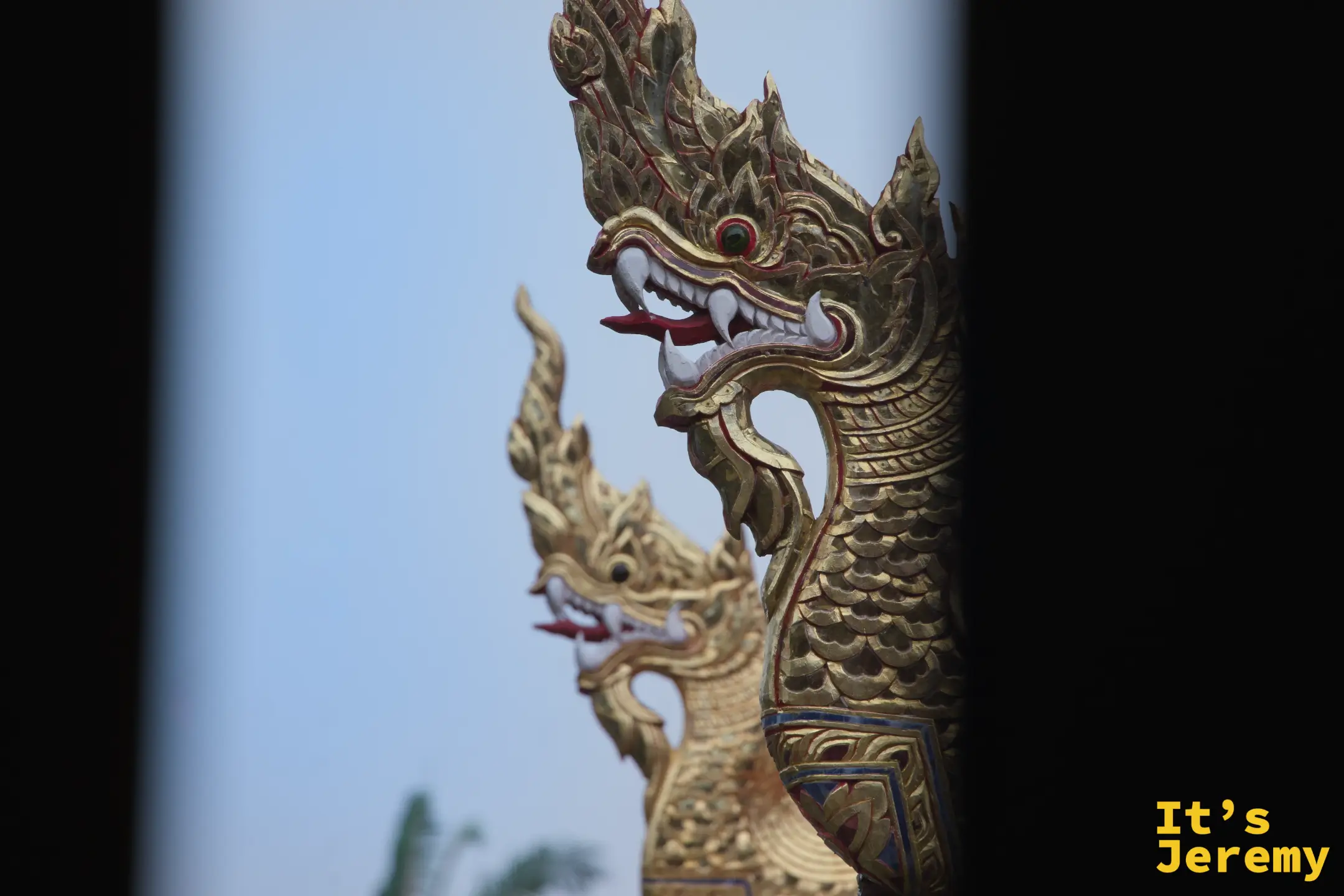 那伽雙頭並列特寫，金色鱗片，眼珠帶藍綠光澤
