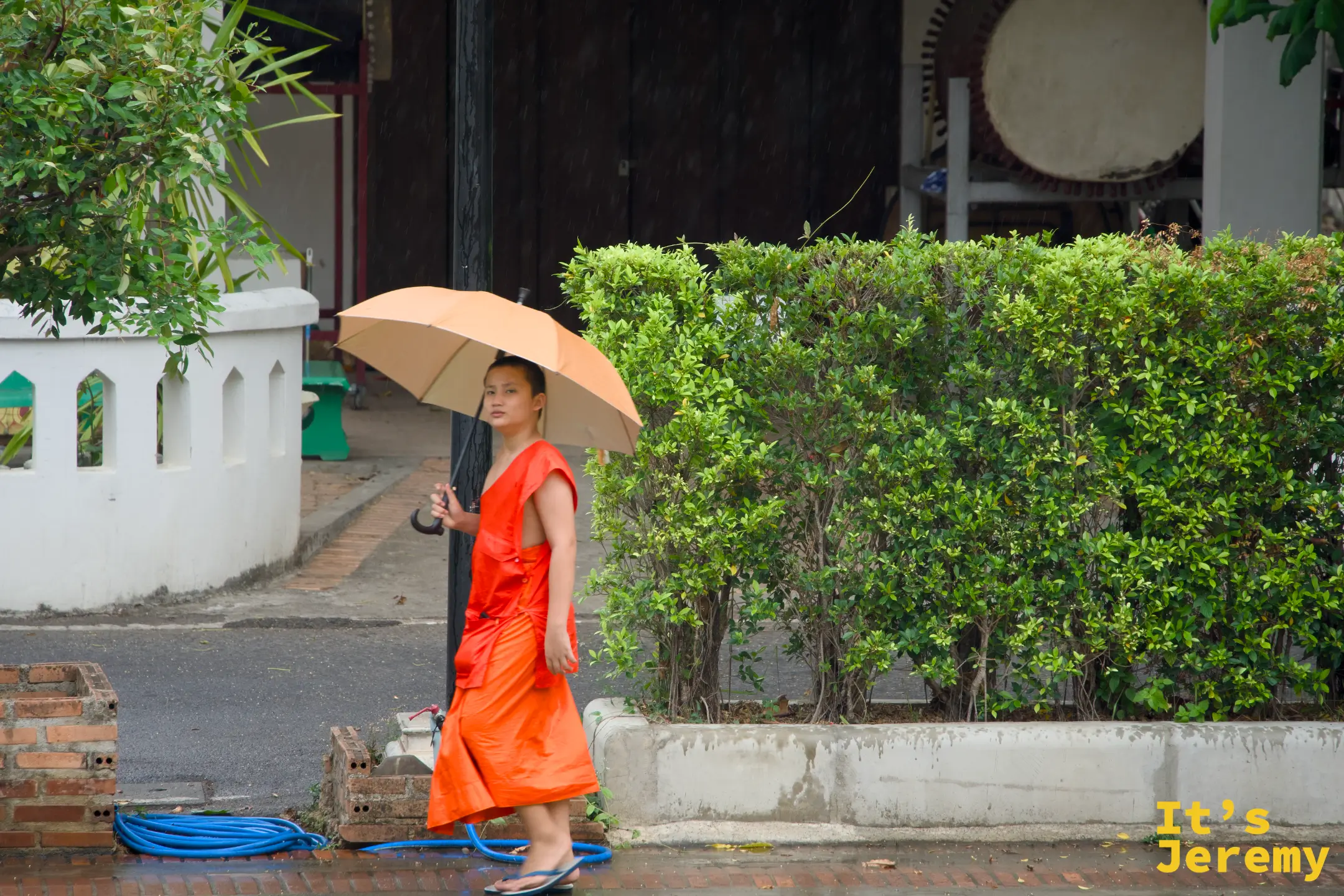 雨中橘衣小僧侶撐著雨傘穿過庭院