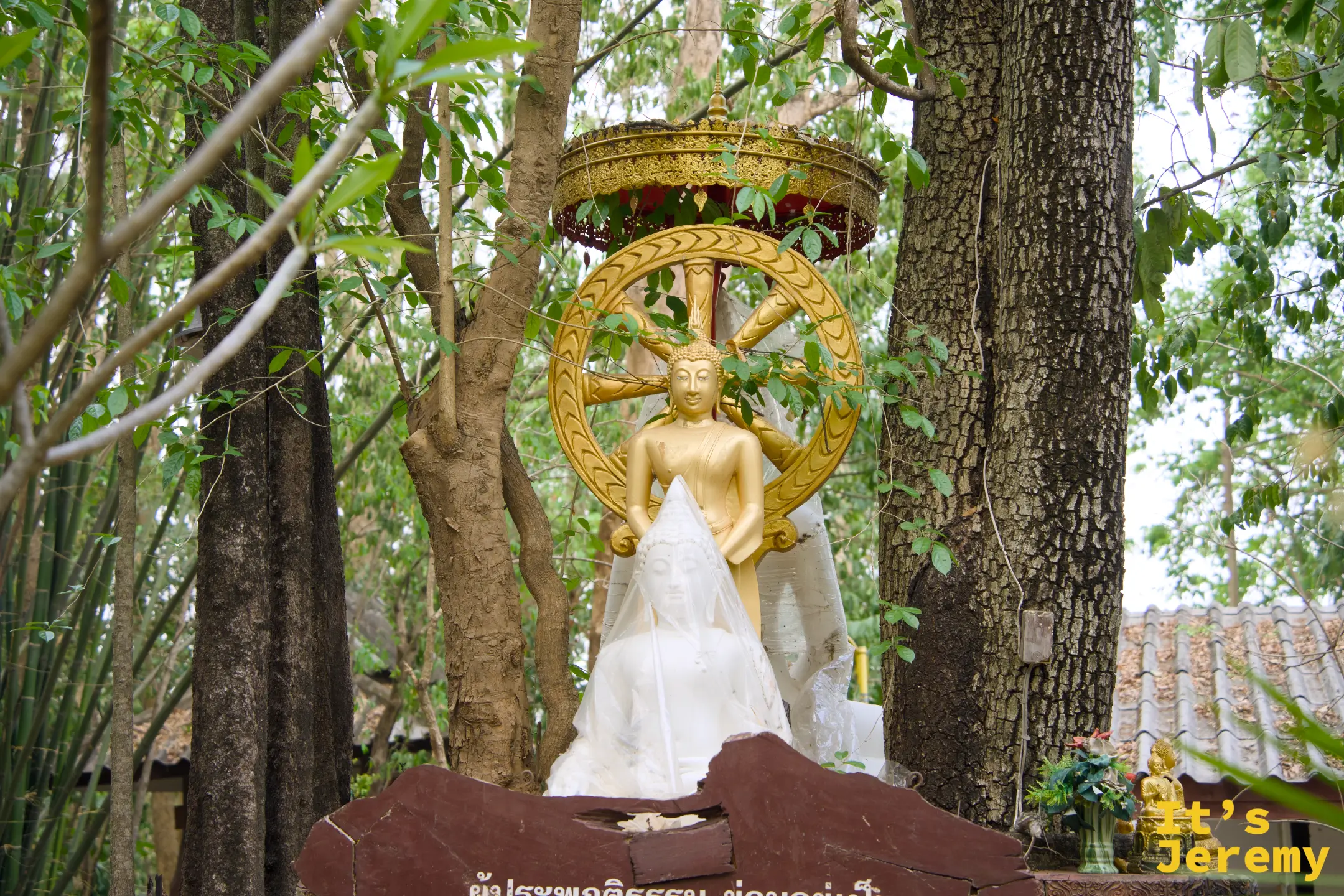 金白色佛像站在台座上，背後飾有法輪光圈