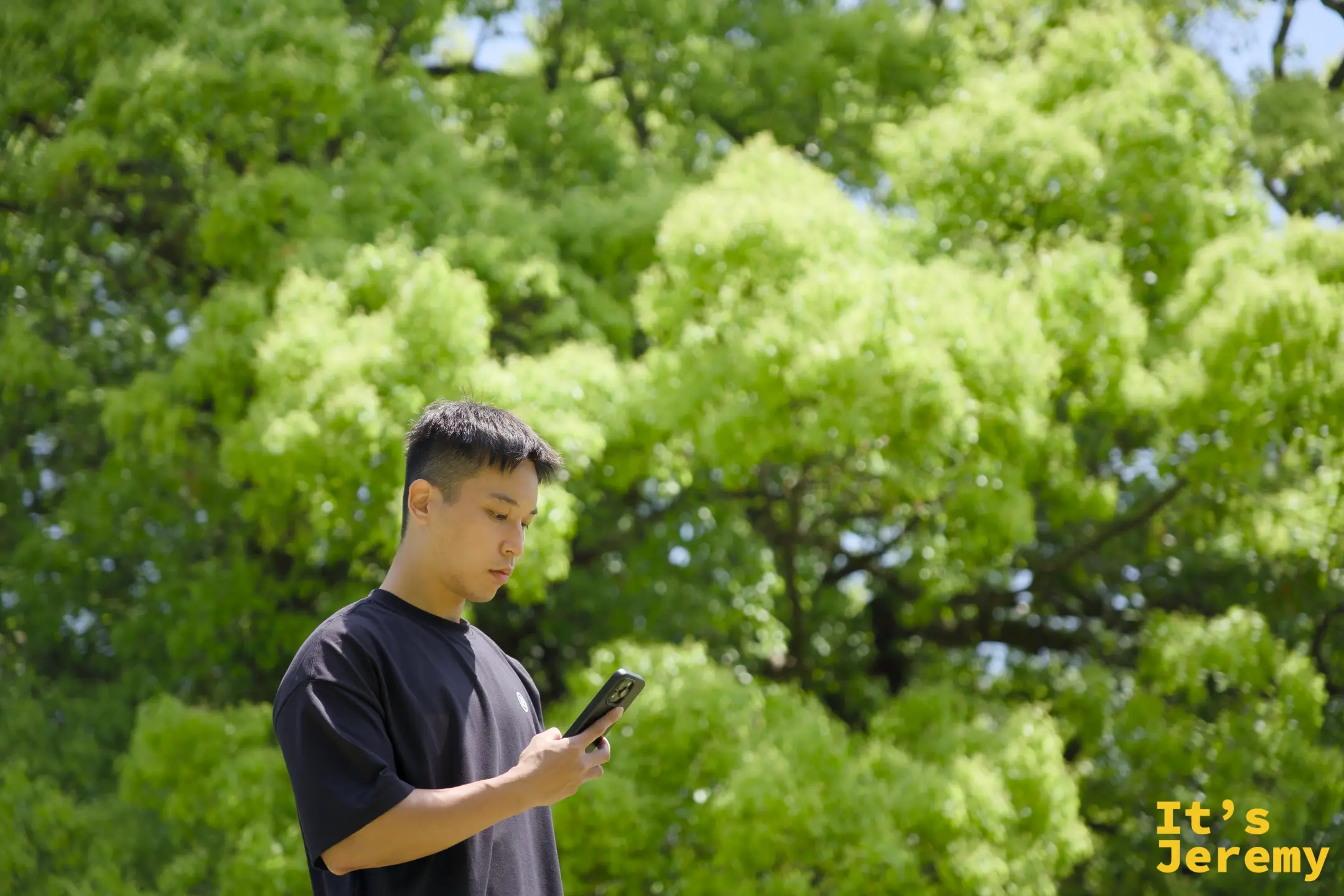 男子站在栗林公園的草坪和樹叢之間，低頭看手機，背後是一棵盛開春葉的大樹，光線均勻柔和