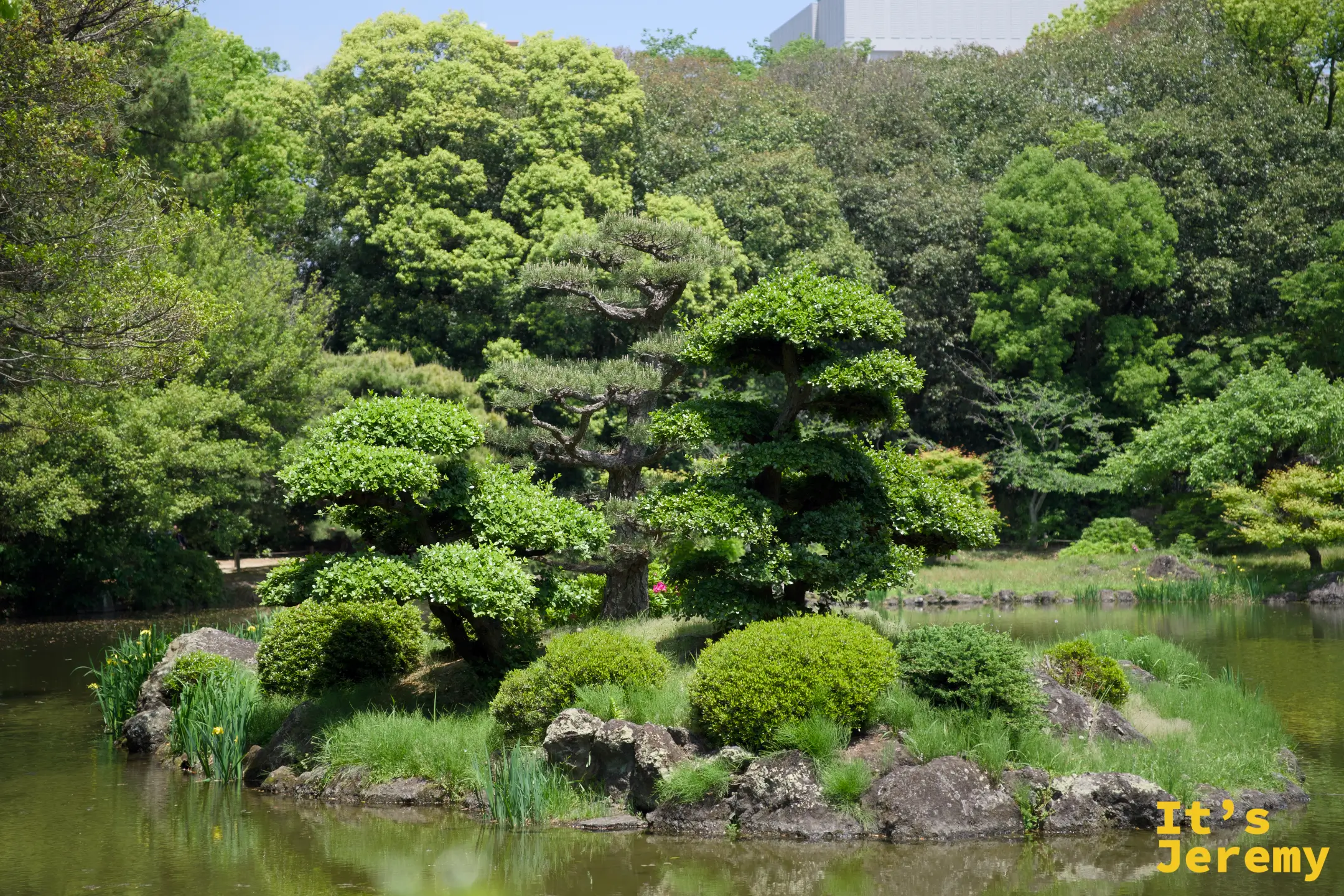 南湖小島近景，混合了松樹、闊葉樹、燕子花與石塊的庭園島嶼景觀，城市樓房隱約出現在樹梢後