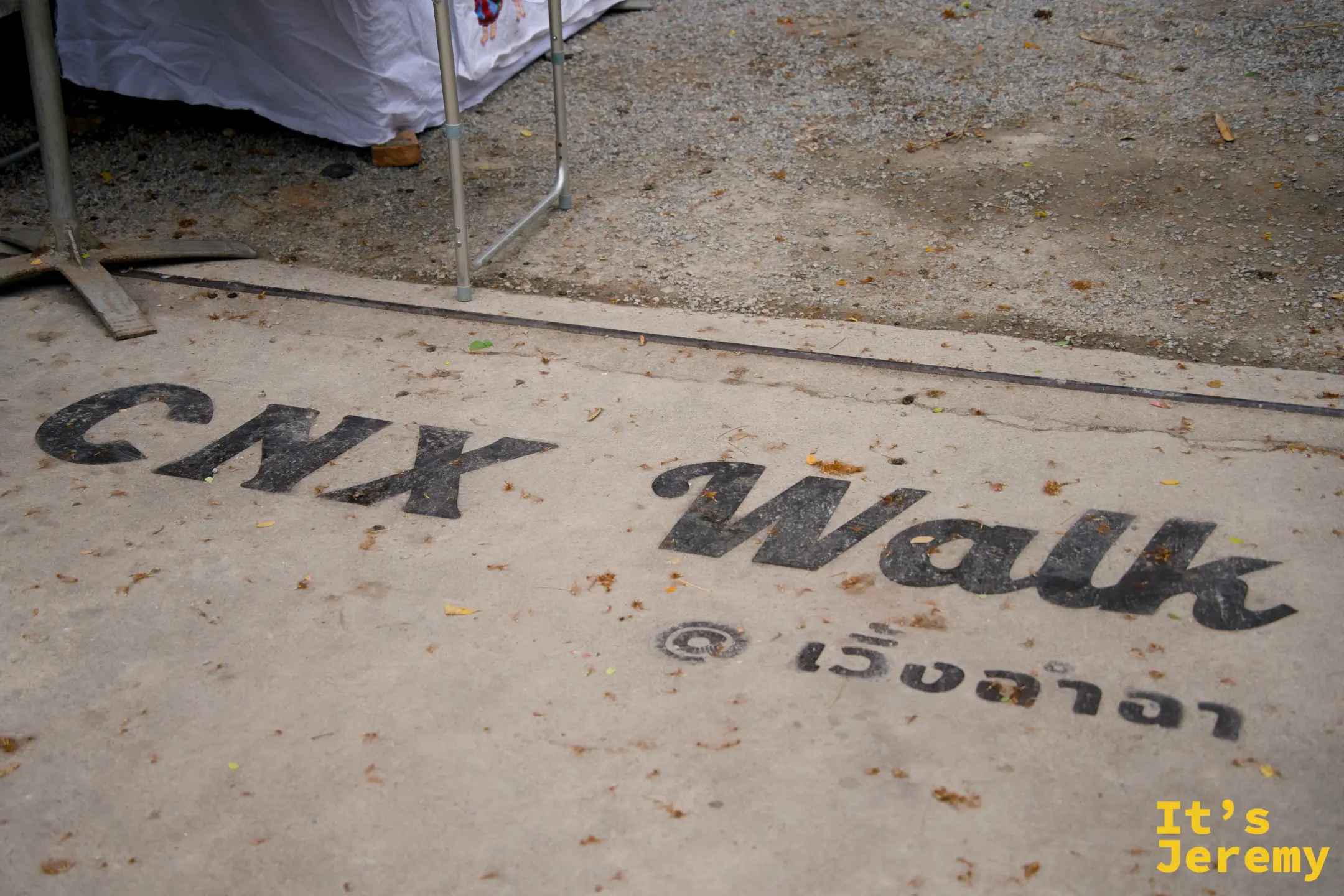 水泥地面上印著「CNX Walk @ เวิ้งฉำฉา」字樣，散落著細碎落葉