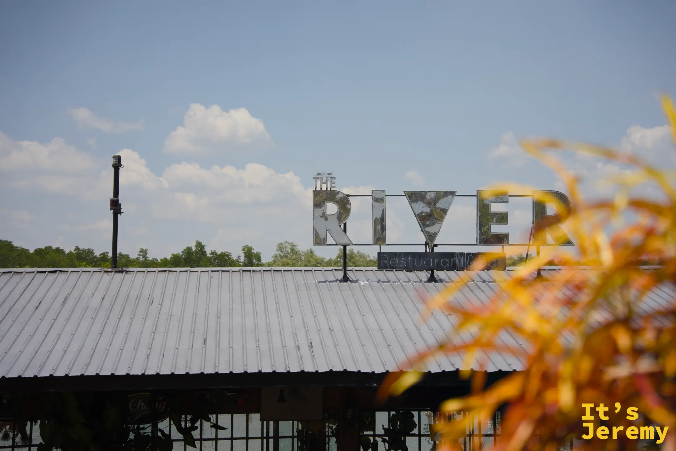 從水面上看 The River，前景是金黃色植物
