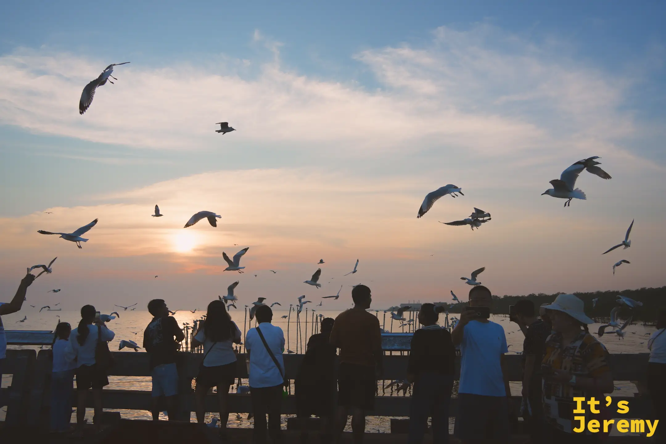 群眾沿著棧道並排站著舉手餵食，整片金色海面