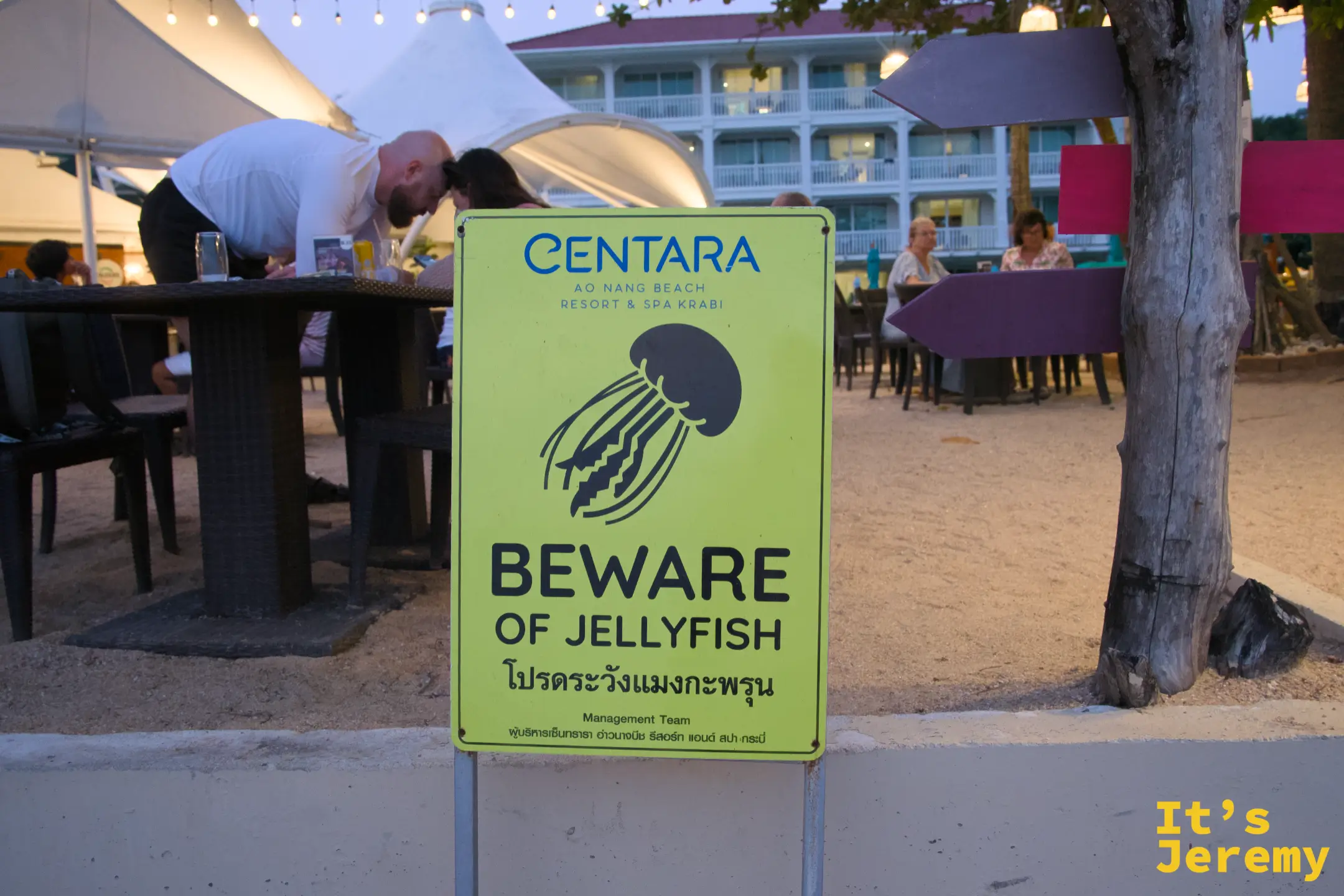 Centara Ao Nang Beach Resort 立的黃色水母警示牌特寫，英文與泰文警示