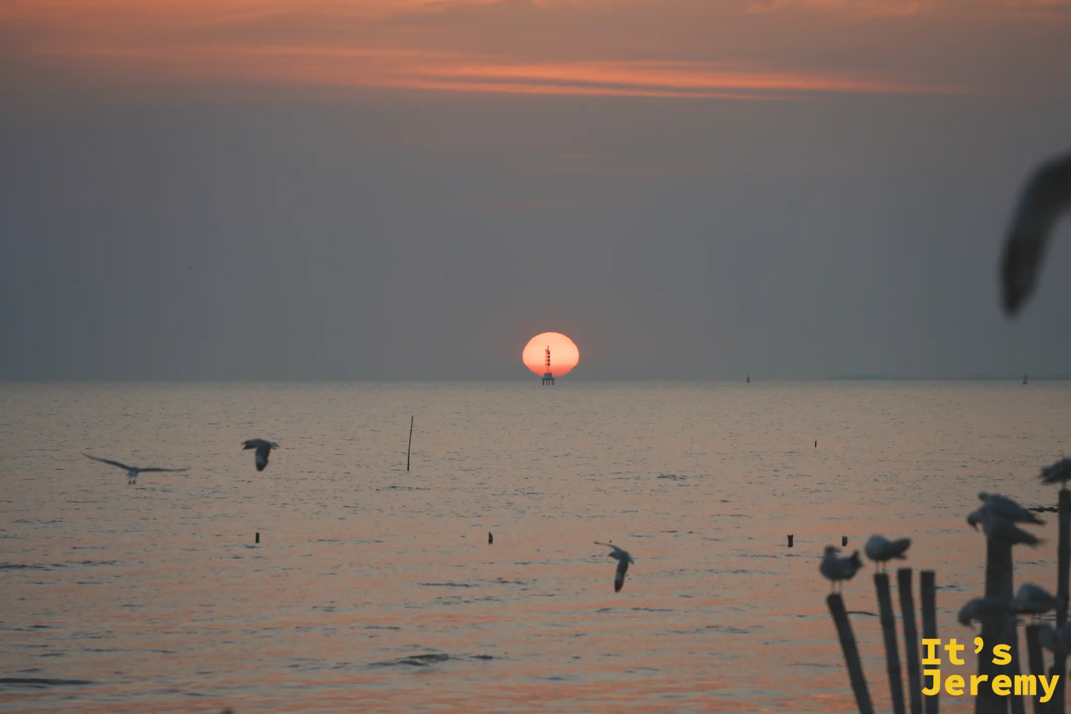 邦普海濱棧道夕陽，整顆紅色日輪掛在竹竿頂端，剛好有海鷗站在前面