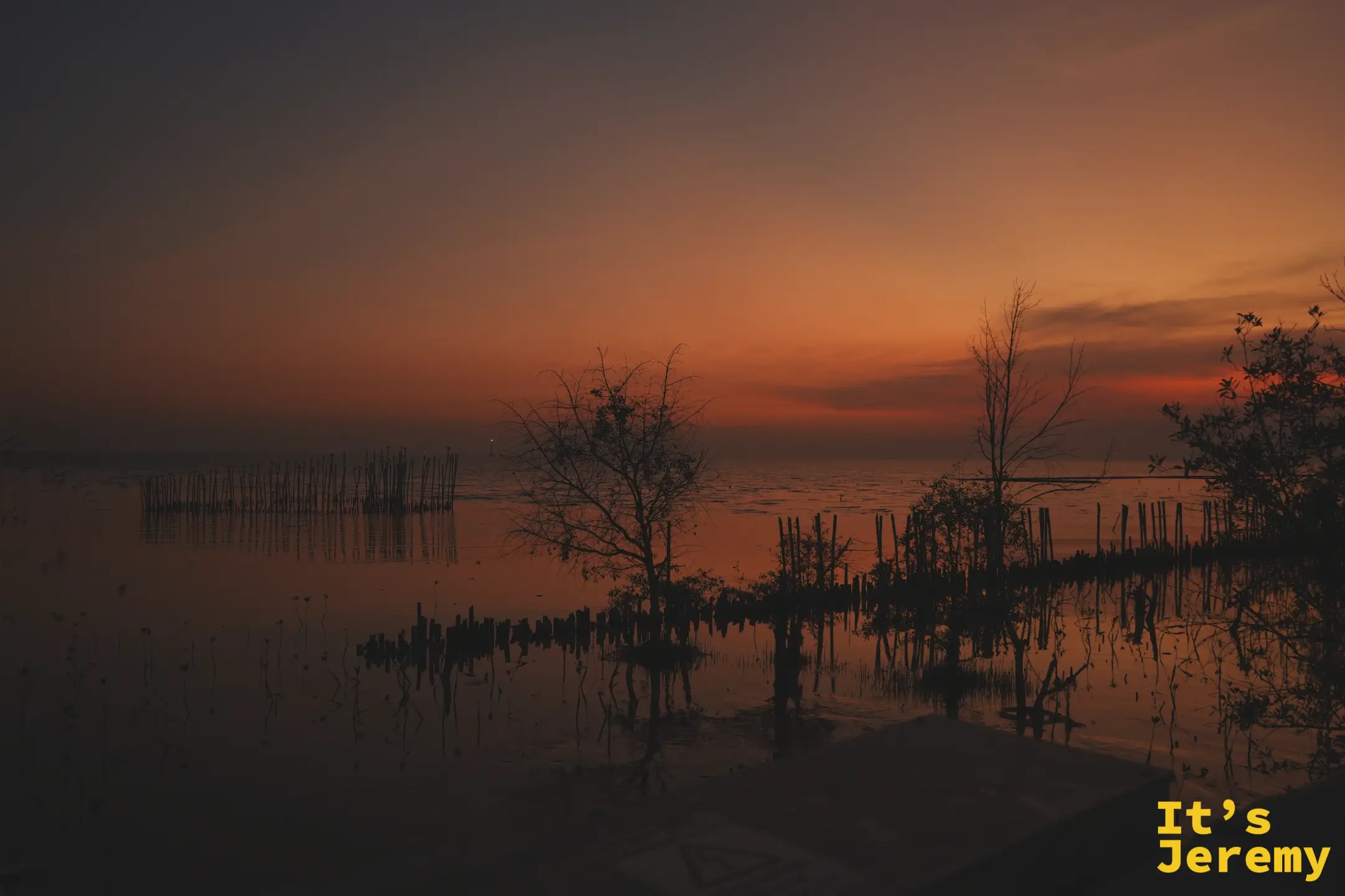 夕陽下的紅樹林潮間帶倒影