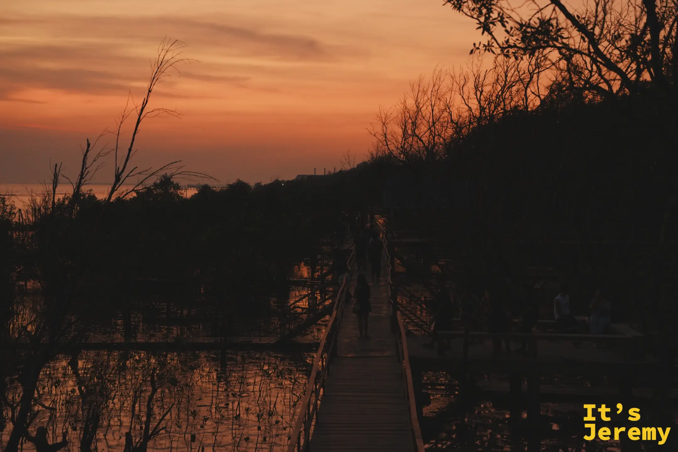 紅樹林木棧道與夕陽