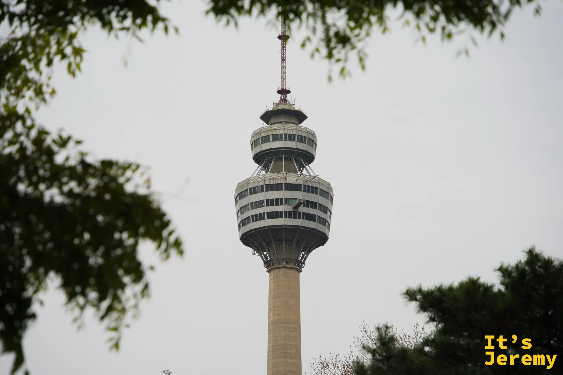 多雲天空下的 83 塔遠景，兩側綠葉從畫面上下方框住塔身