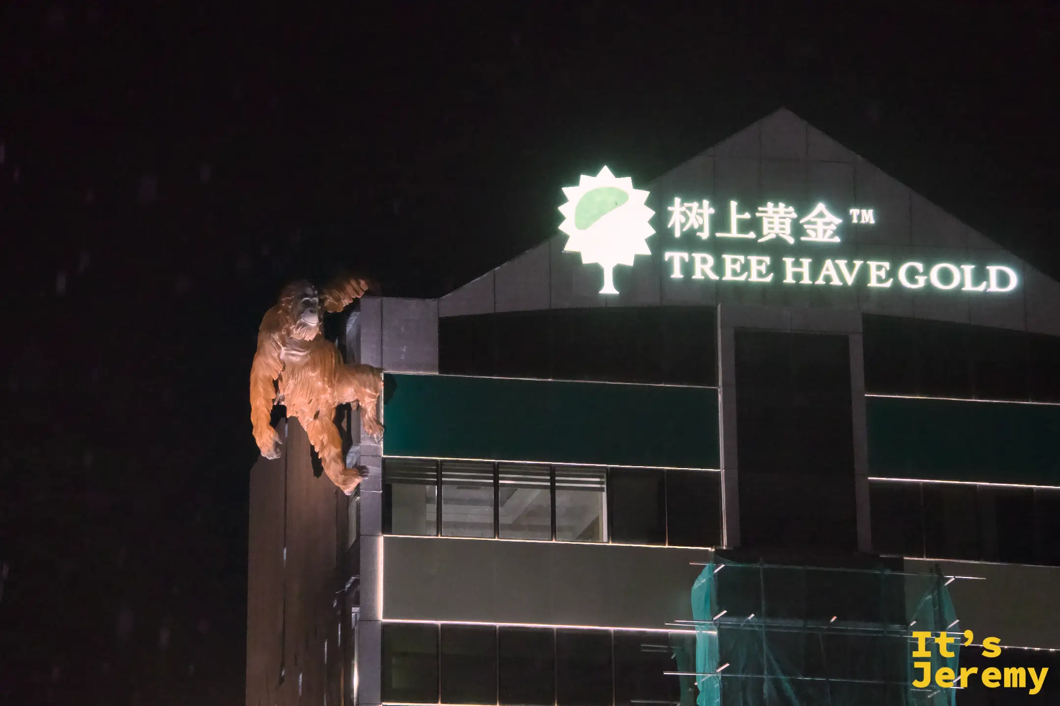 亞庇夜間「樹上黃金 Tree Have Gold」大樓頂端巨型紅毛猩猩雕塑，綠色霓虹品牌招牌照亮夜空