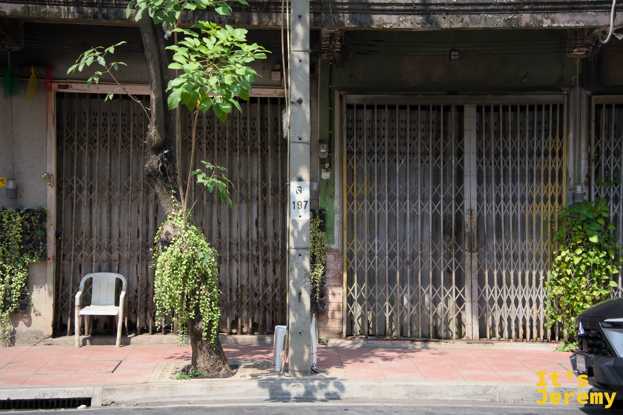 排排老店屋拉下金屬摺疊門,角落有白色塑膠椅和爬滿藤蔓的電線桿