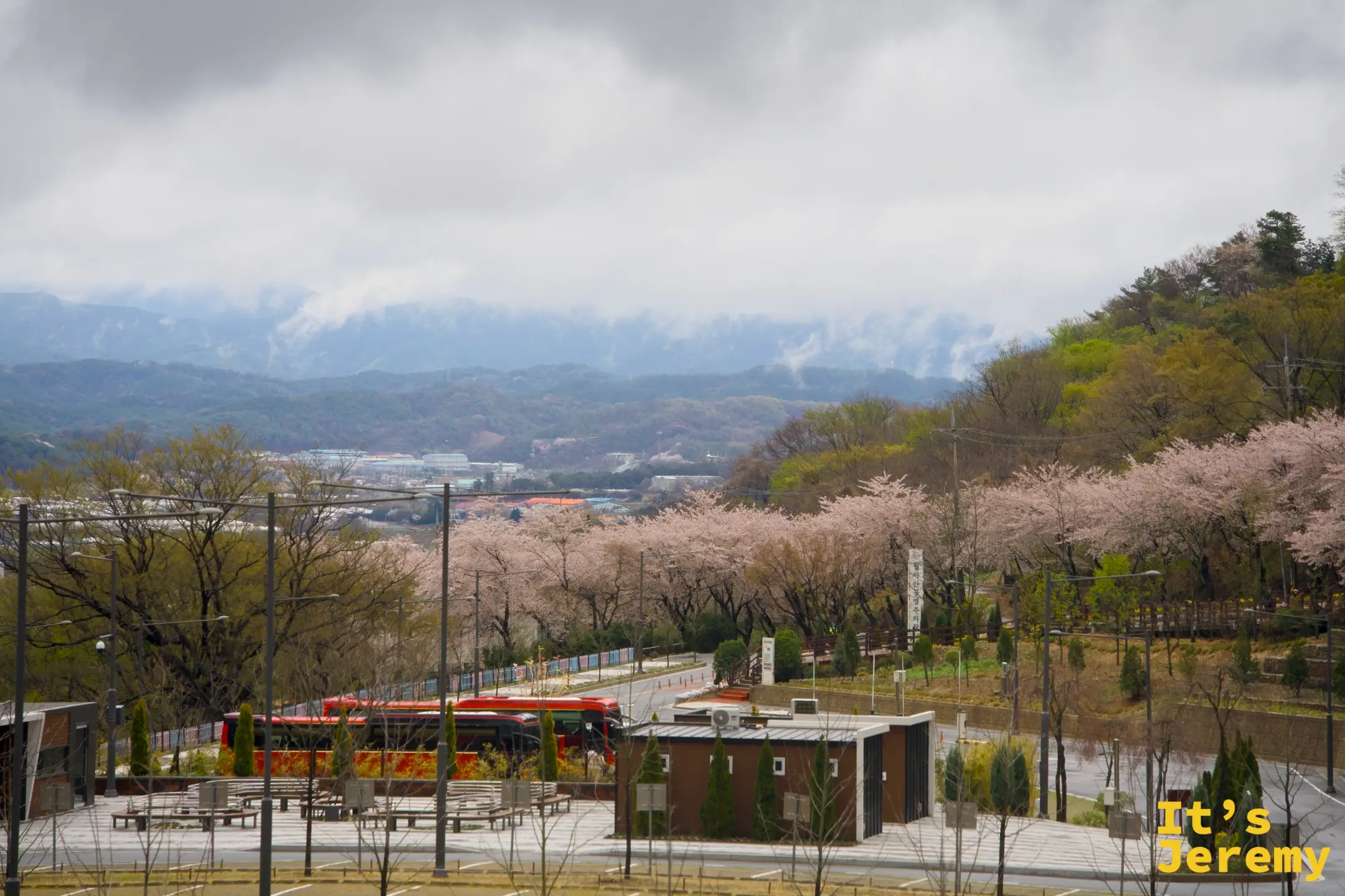 從半山腰俯瞰月牙山公園全景，紅色觀光巴士、粉色花列與遠處被雲霧包覆的山脊