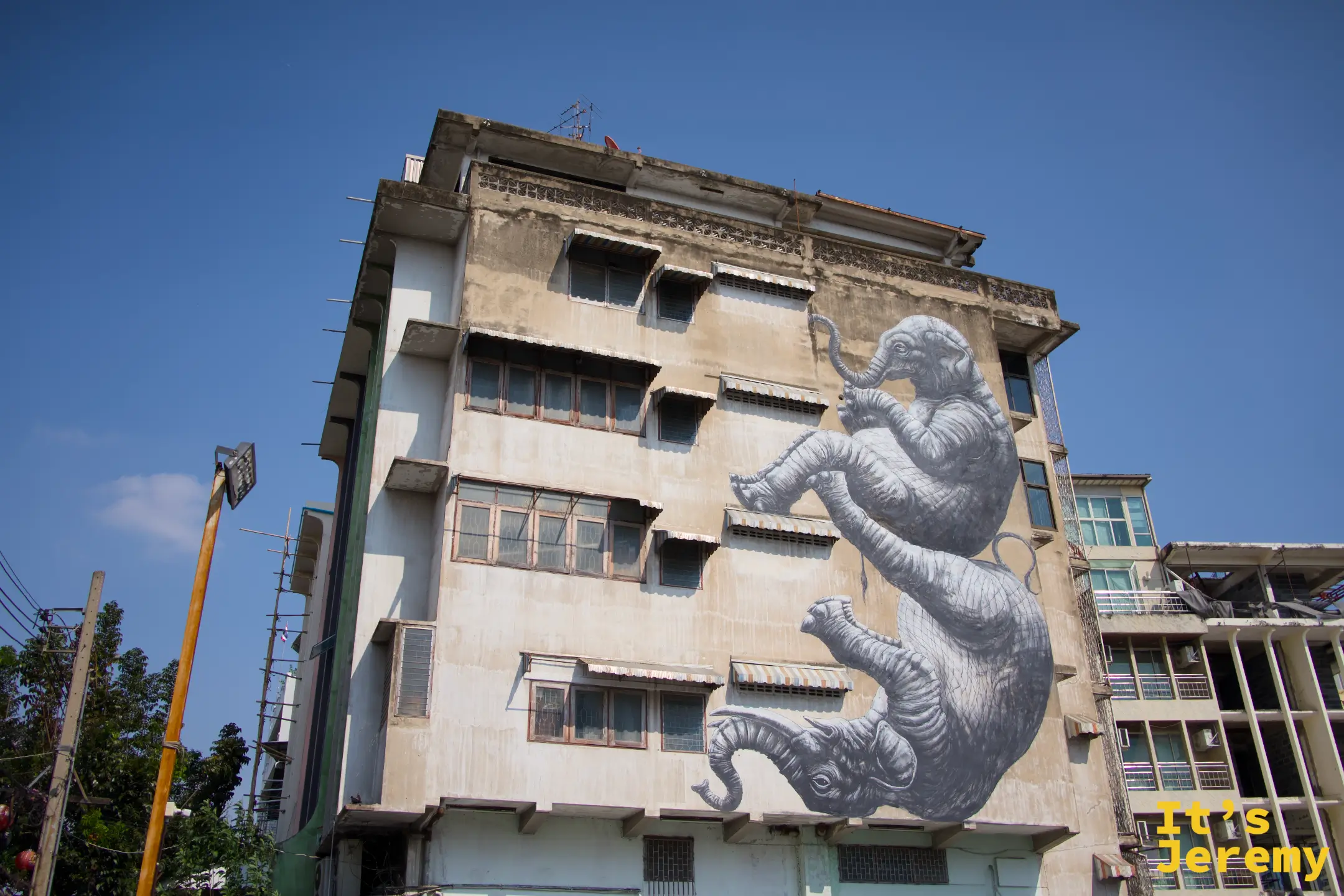 建築側面壁畫:ROA 風格的灰色大象群像,多頭交疊,藍天清晰