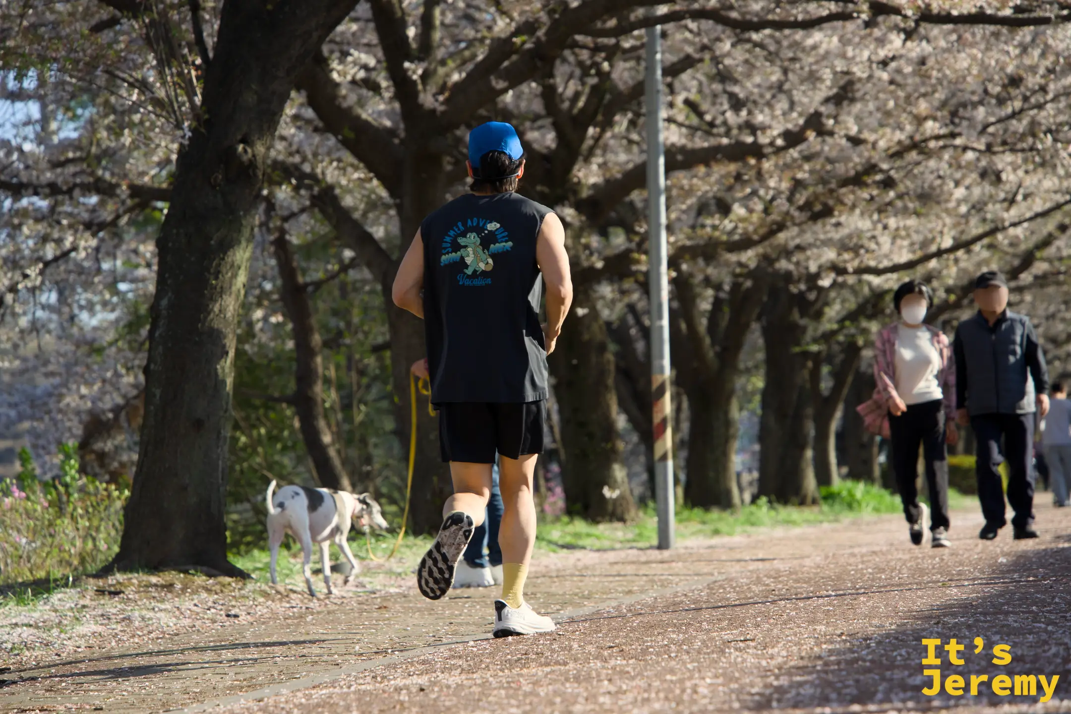 跑者帶著狗沿步道奔跑，傍晚暖光從側邊打入，花廊在逆光下顯得格外通透明亮