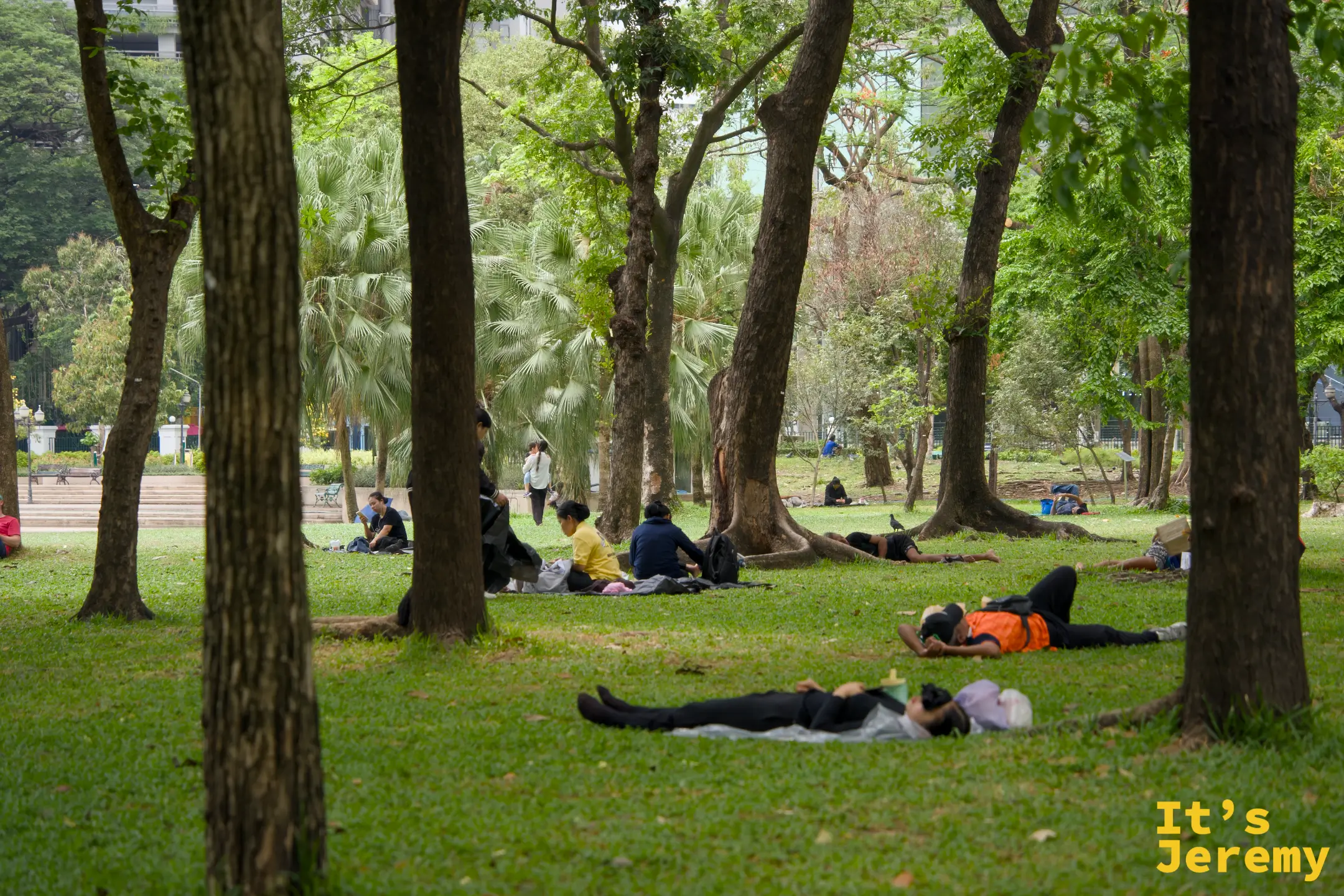 班哲希利公園草地,多人在樹蔭下躺著休息