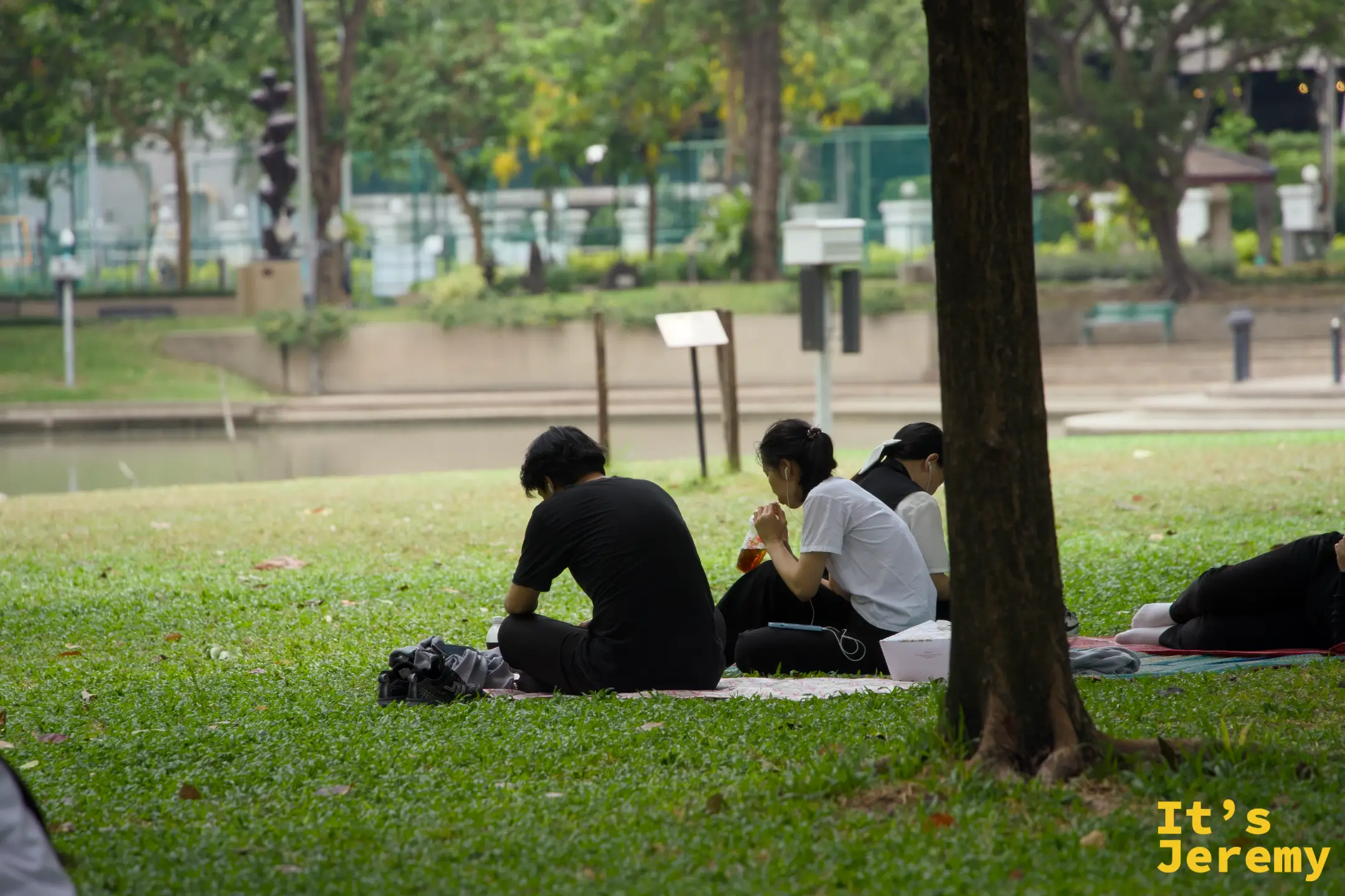 班哲希利公園,三人背對鏡頭在大樹下草地坐著,旁邊放著外帶食物和飲料