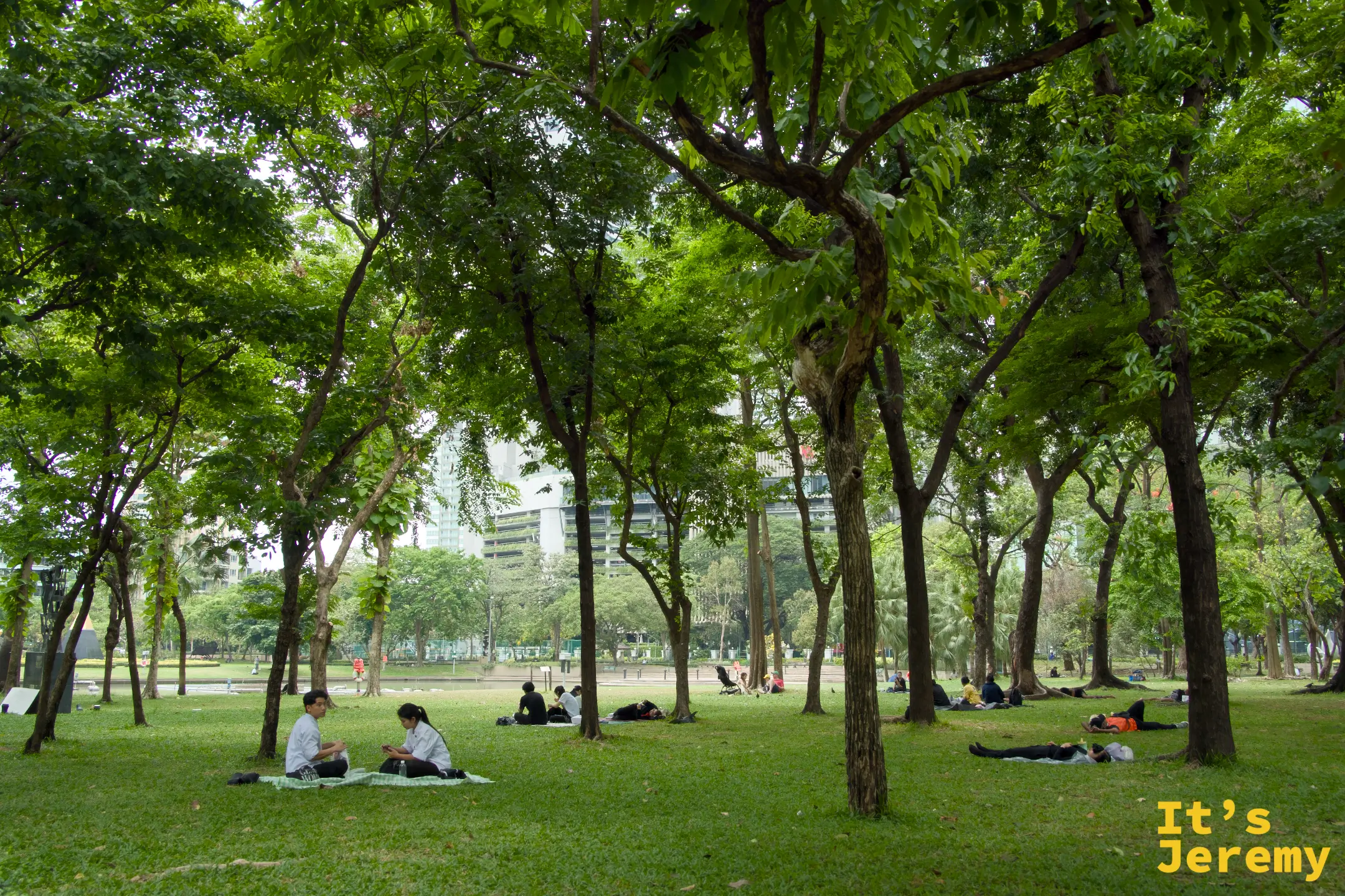 班哲希利公園大片草地與高大樹木,多人席地而坐或躺著休息,背景可見城市高樓