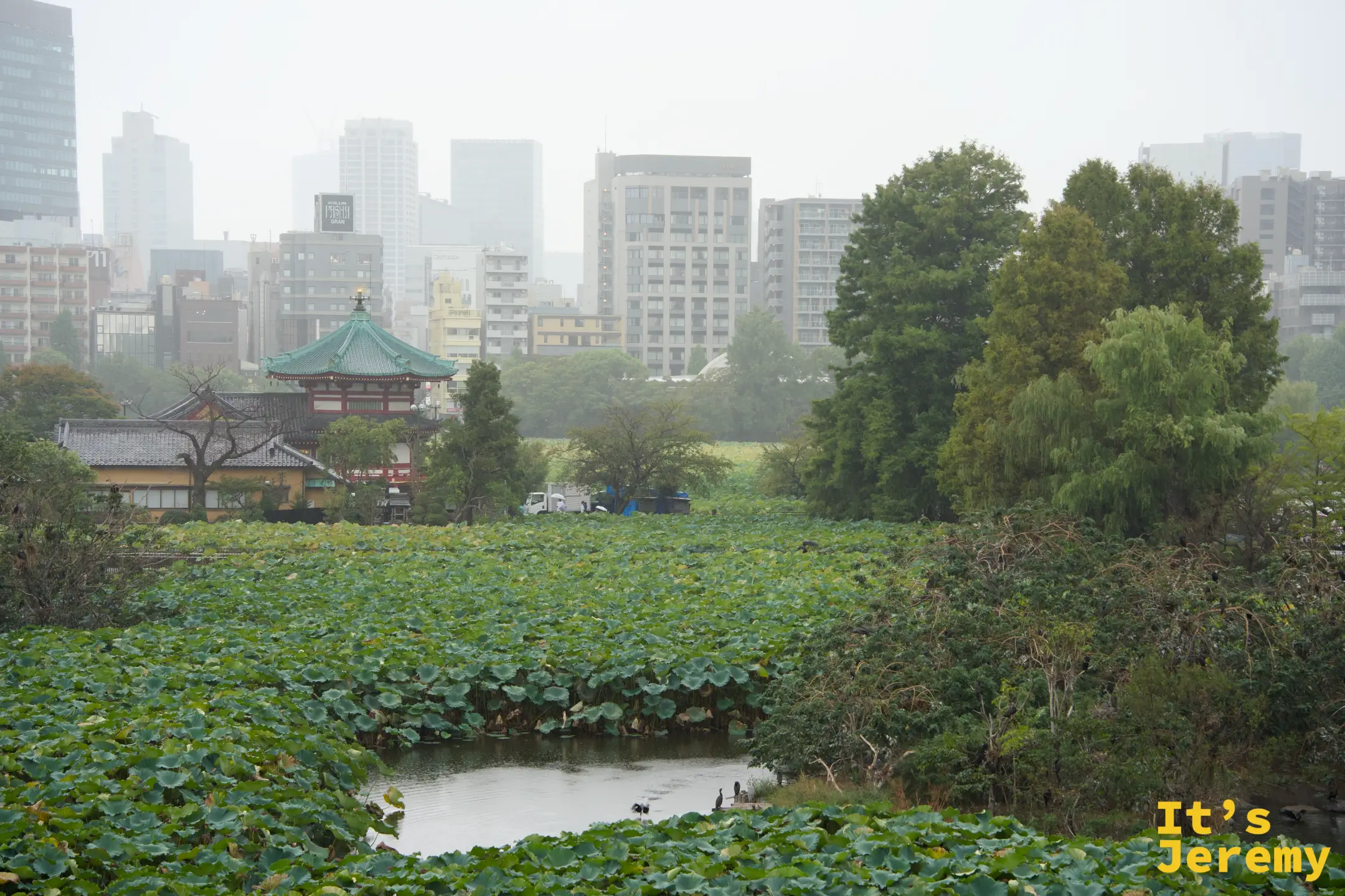 大雨中的不忍池全景,辯天堂在雨霧中若隱若現,城市天際線消失在雨幕之後