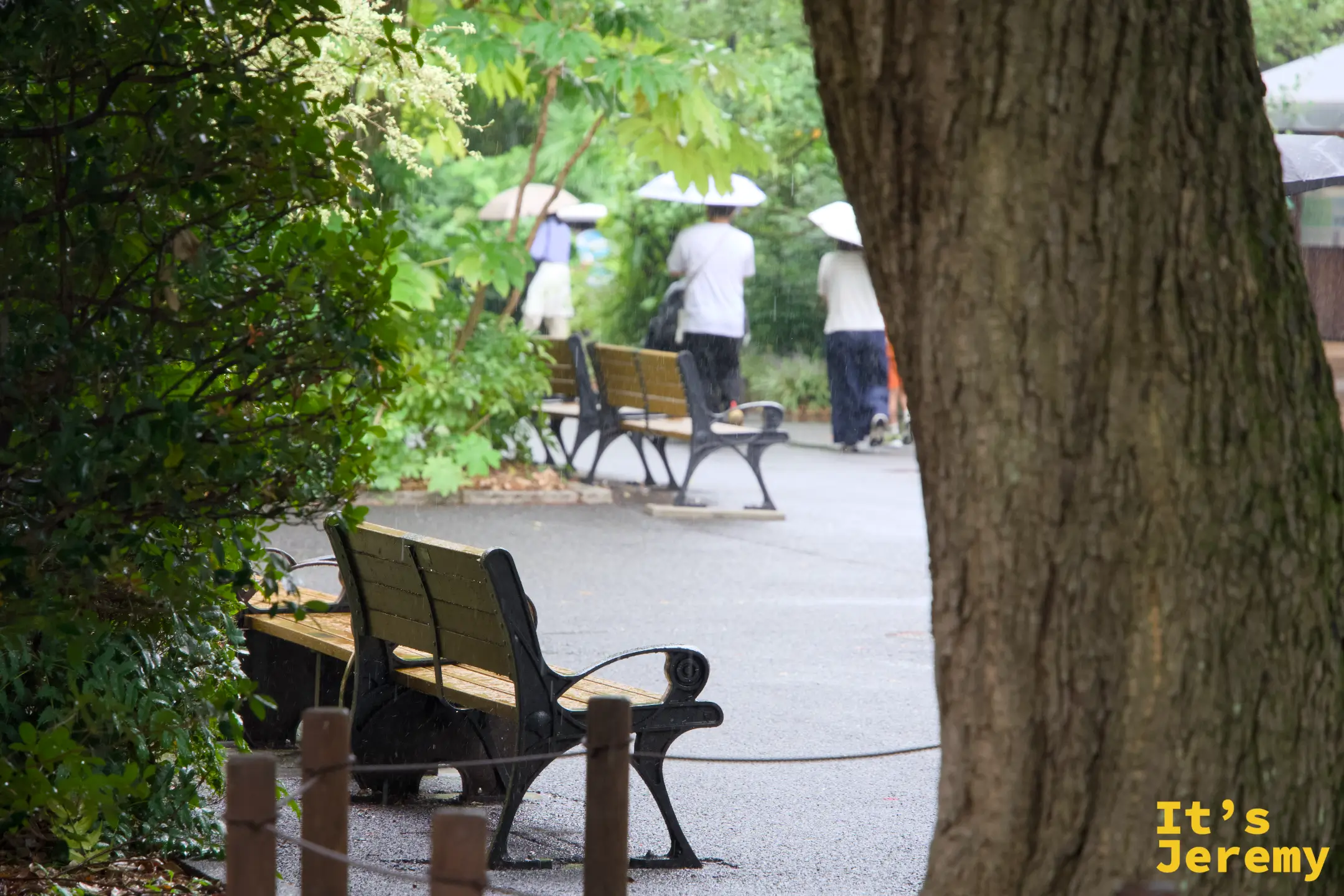 大雨中的動物園園路,遊客撐傘繼續前行,長椅上已有積水