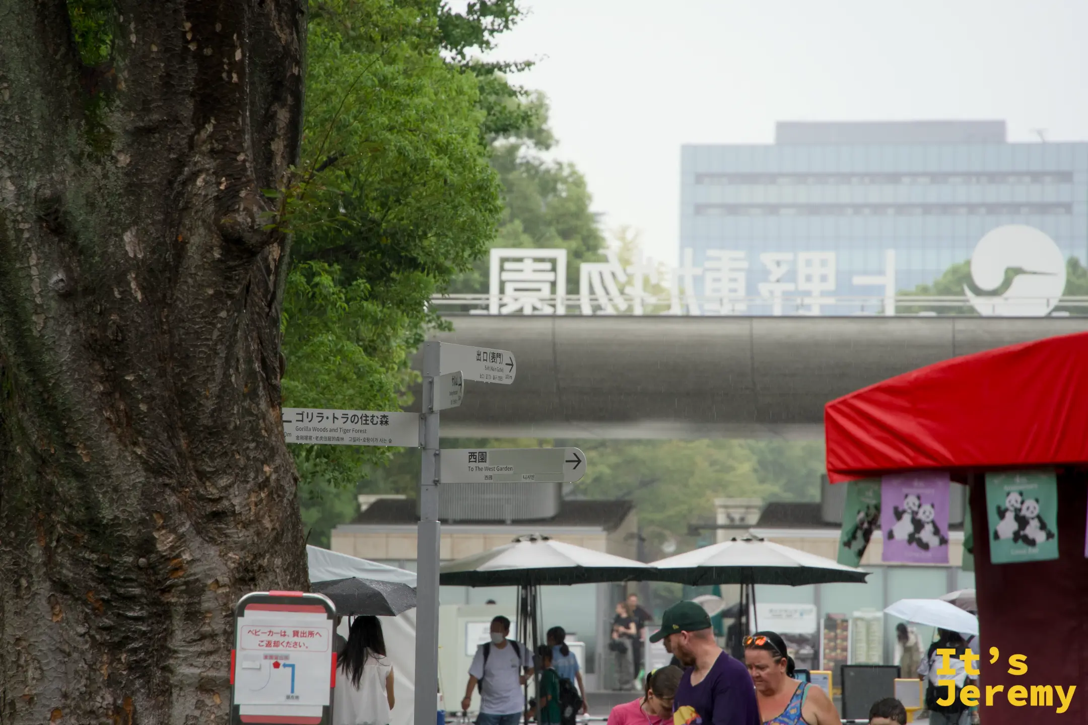 動物園內的路線指示牌,標示ゴリラ・トラの住む森與西園方向,背景可見恩賜上野動物園字樣