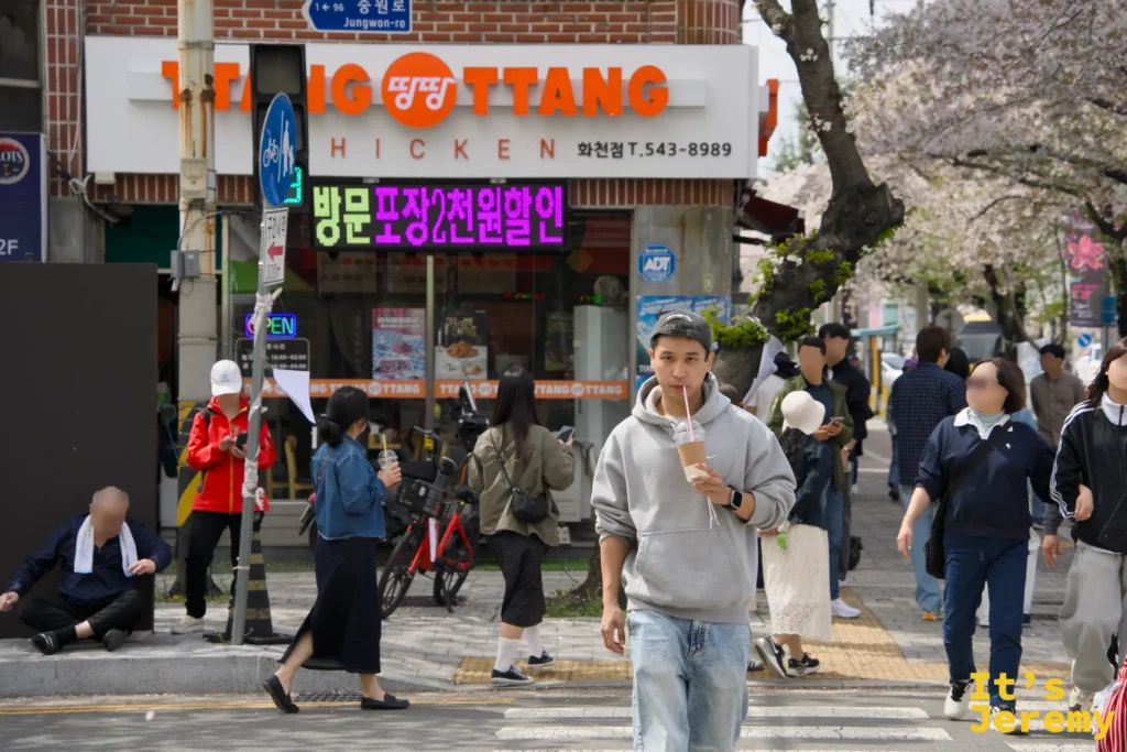 🇰🇷 大邱釜山行程｜2026 從鎮海花海追到釜山春日 4 日遊