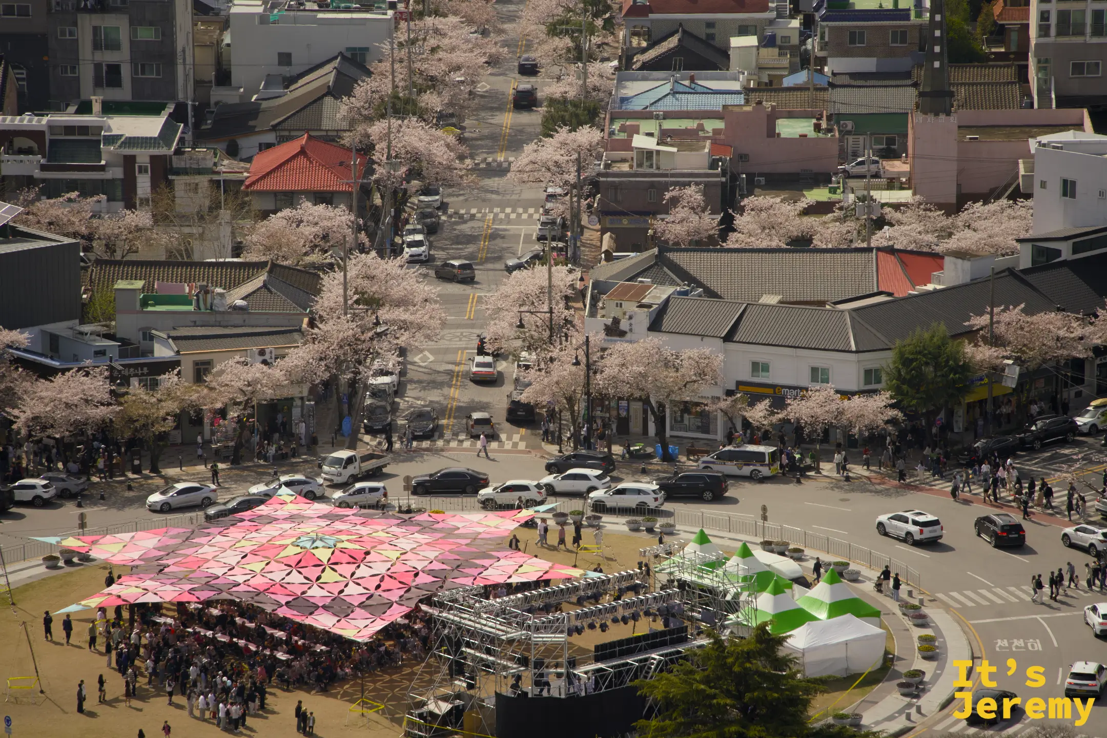 從鎮海塔頂俯瞰軍港祭活動廣場，彩色帳篷與街道之間穿插著成排粉白櫻花，人群在花道中移動如細流