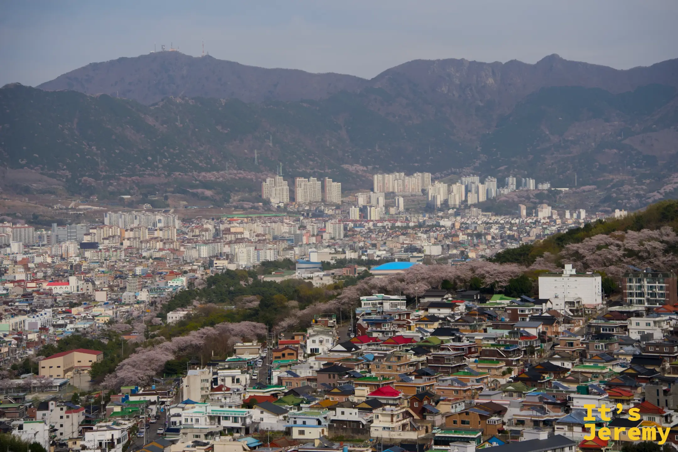 🇰🇷 鎮海景點｜鎮海塔 진해탑：軍港祭最值得爬的制高點，俯瞰整座城市粉白花海