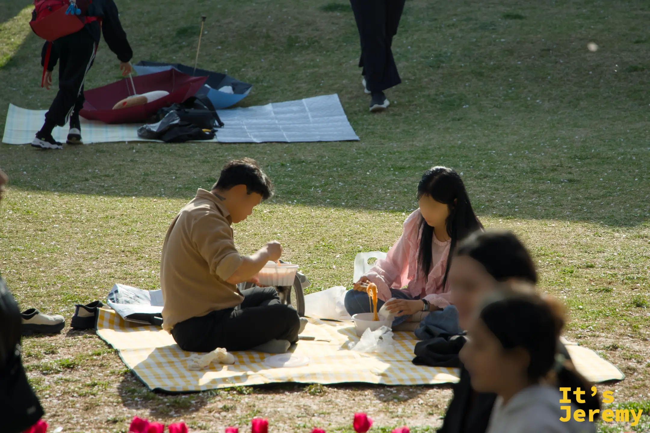 情侶在格紋野餐墊上相對而坐，鬱金香圍繞四周