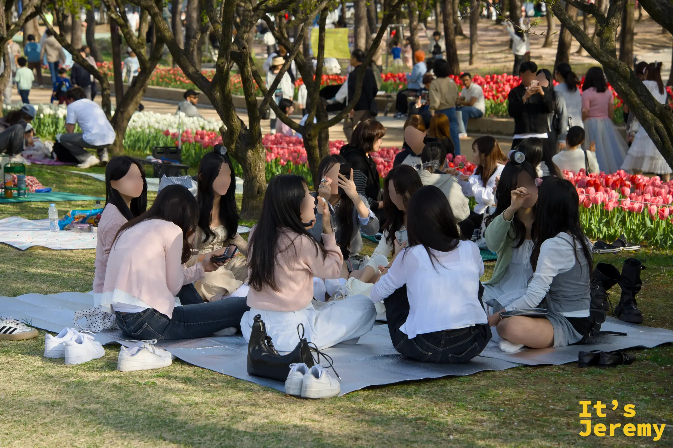 一群女學生在樱花與鬱金香之間研究化妝，笑聲不斷