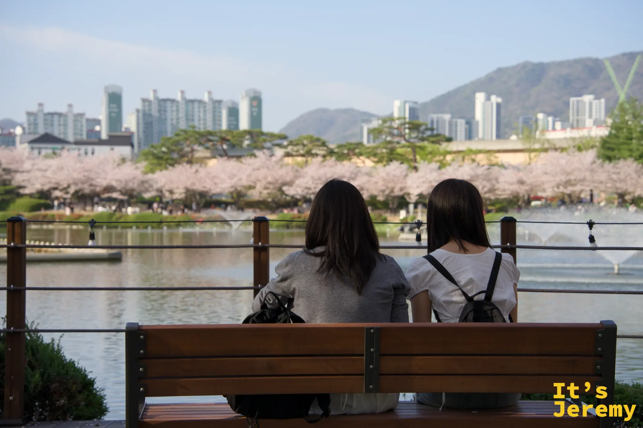🇰🇷 金海景點｜蓮池公園 Yeonji Park：春天鬱金香＋櫻花雙重盛開，釜山近郊最療癒的野餐天堂